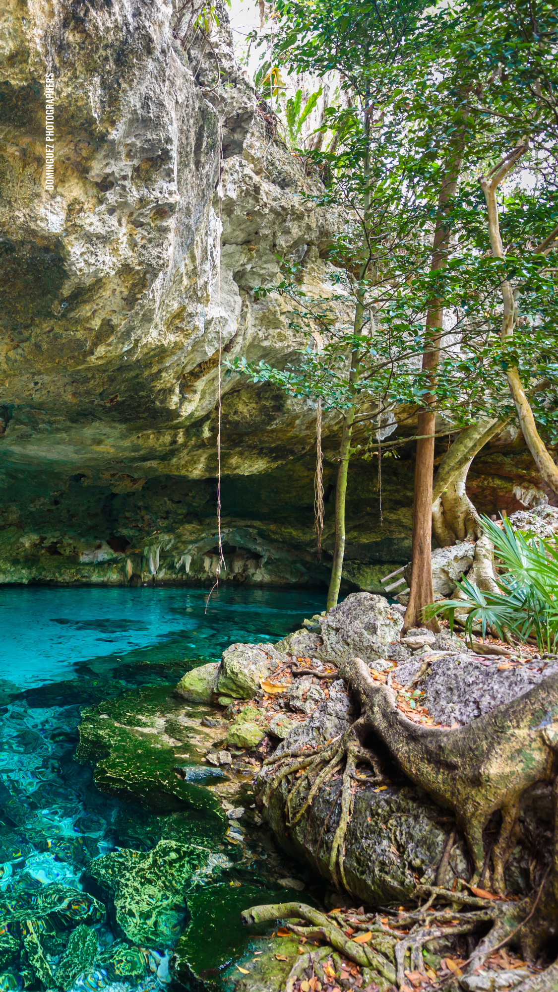 Natural cenote with crystal clear turquoise water surrounded by limestone cliffs and tropical vegetation in Mexico.