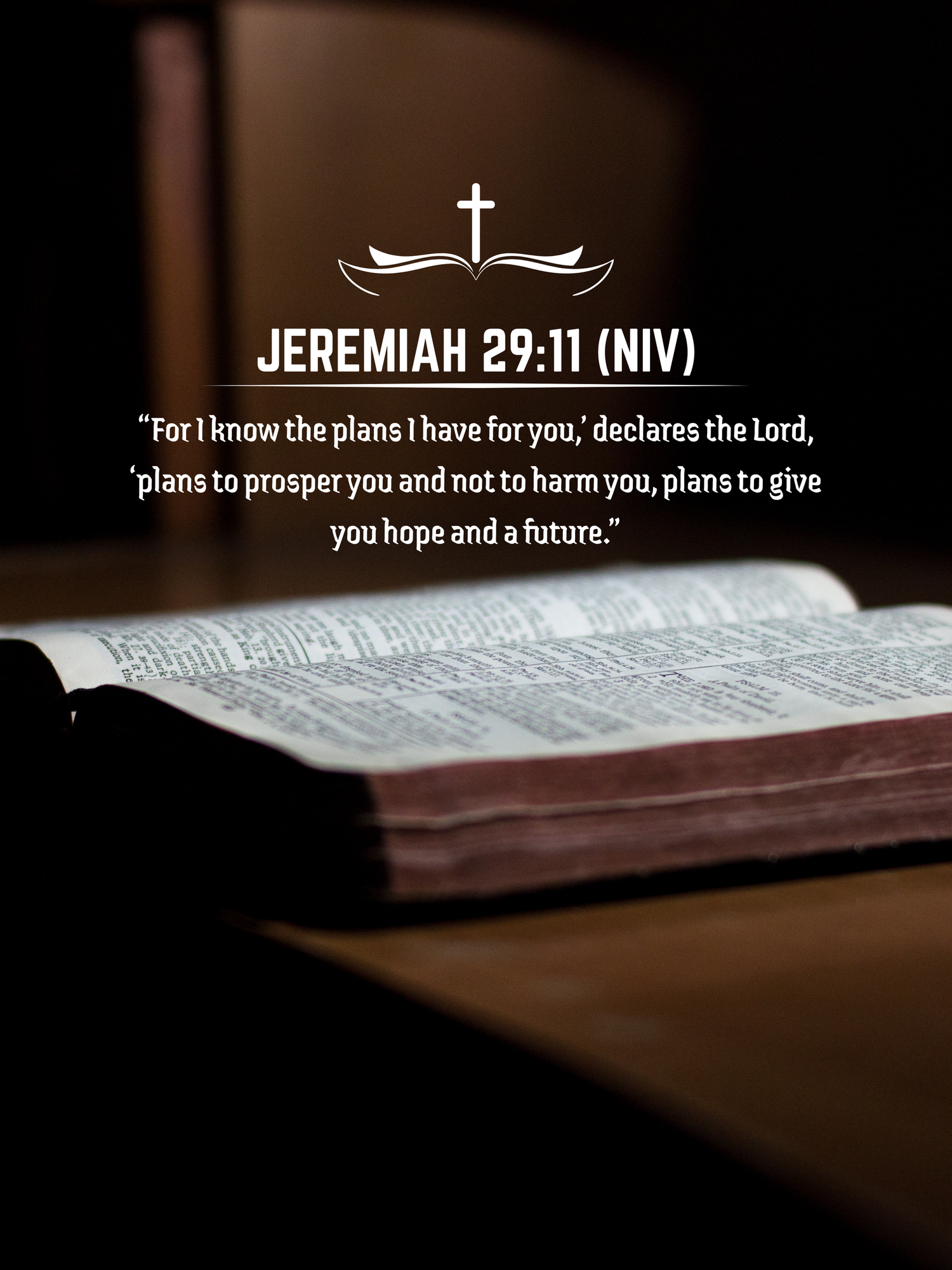 Open Bible with text overlay featuring Jeremiah 29:11 scripture quote in dramatic lighting.