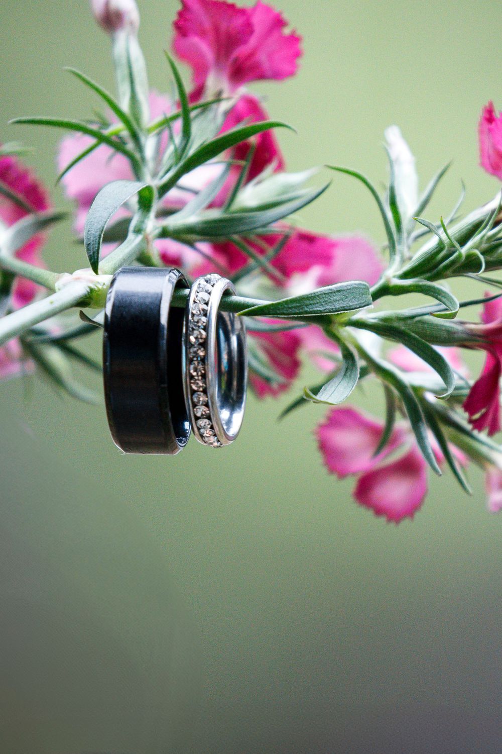 Wedding rings rest on green stems next to vibrant pink carnation flowers in soft focus macro photography.