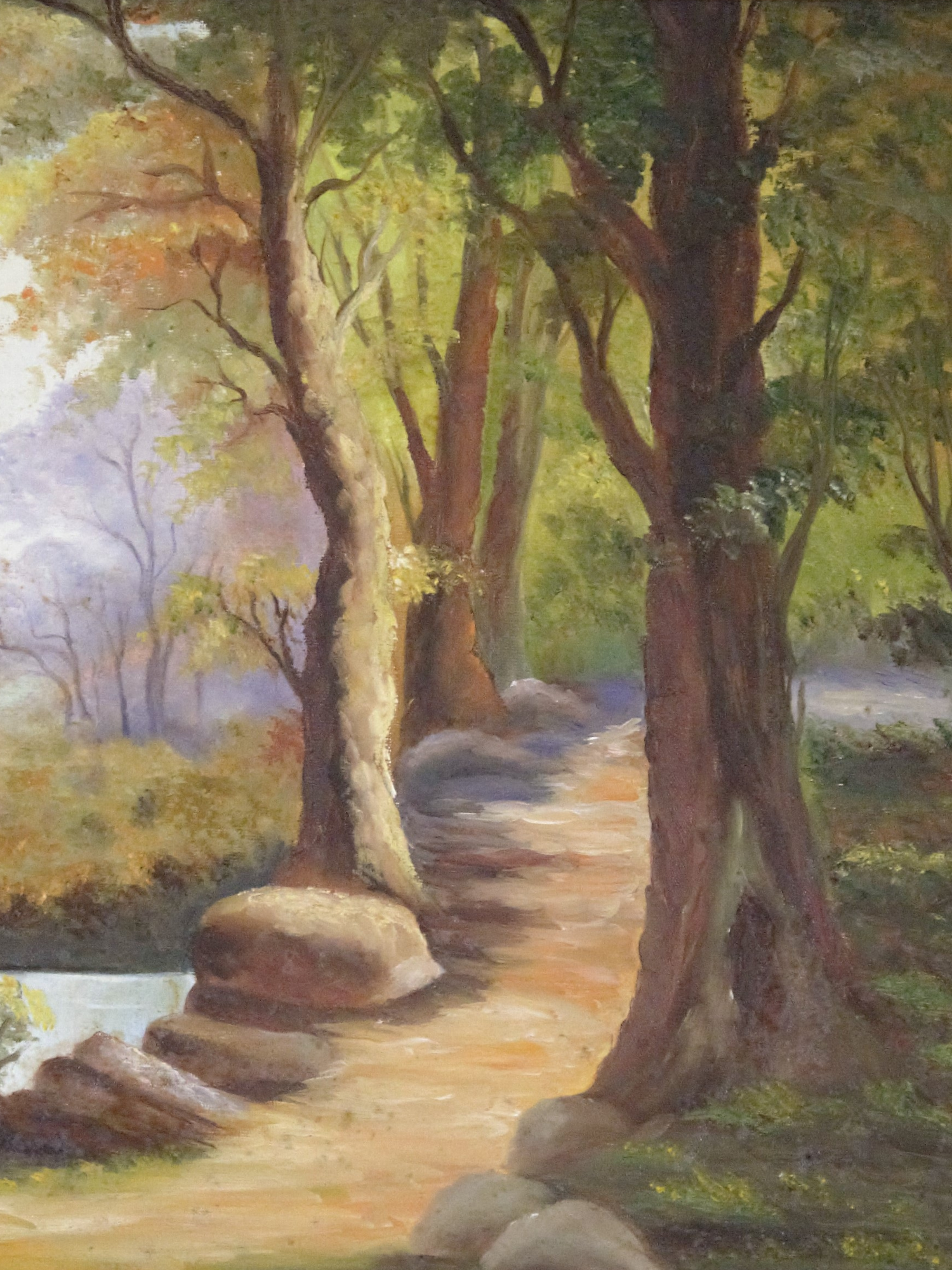A tranquil forest path winds through tall trees with dappled sunlight filtering through the green canopy.