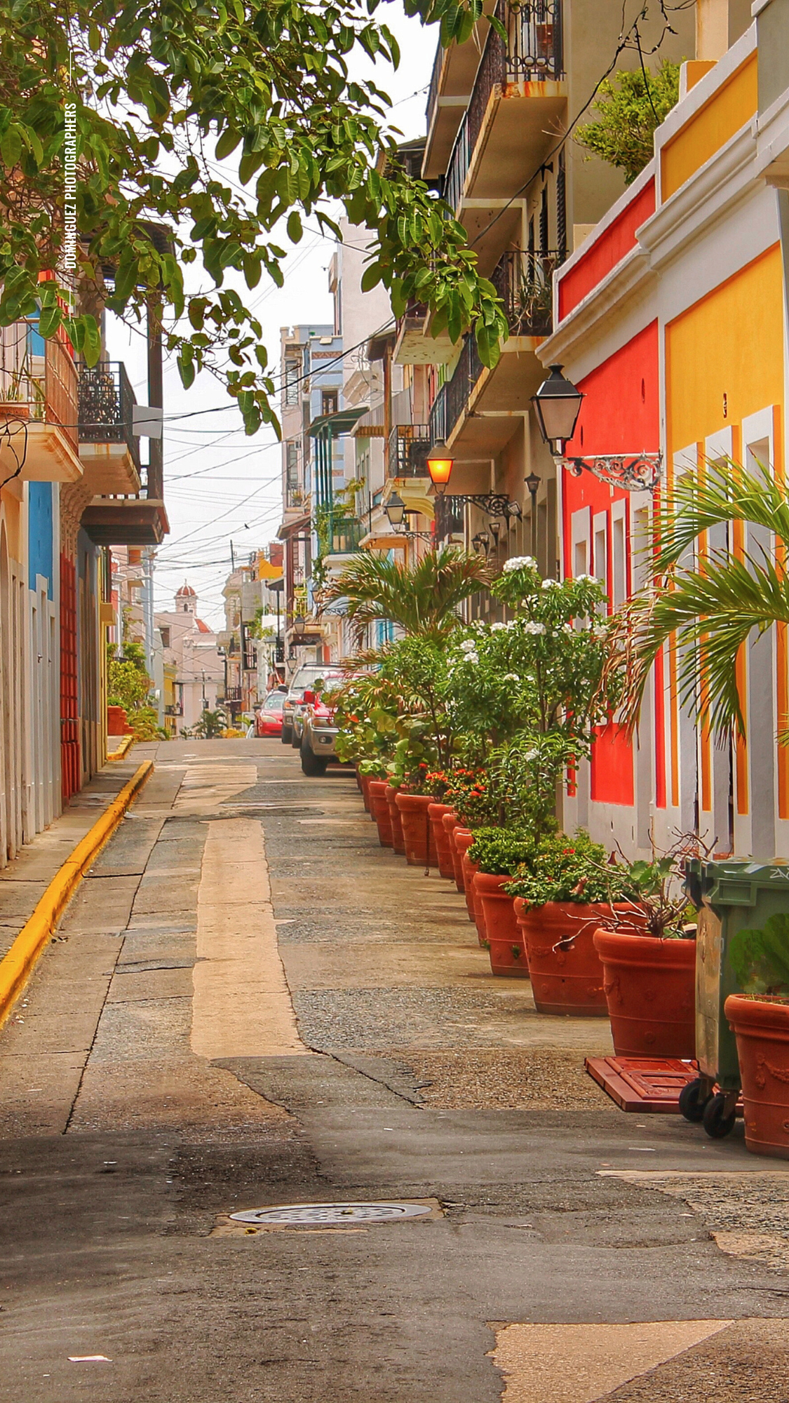 A colorful street lined with potted plants and yellow buildings in Old San Juan, Puerto Rico features a steep incline.