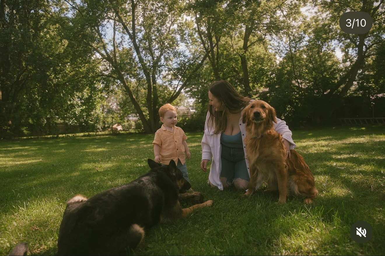 Woman and toddler sit on green grass with a German Shepherd and Golden Retriever in a sunny backyard.