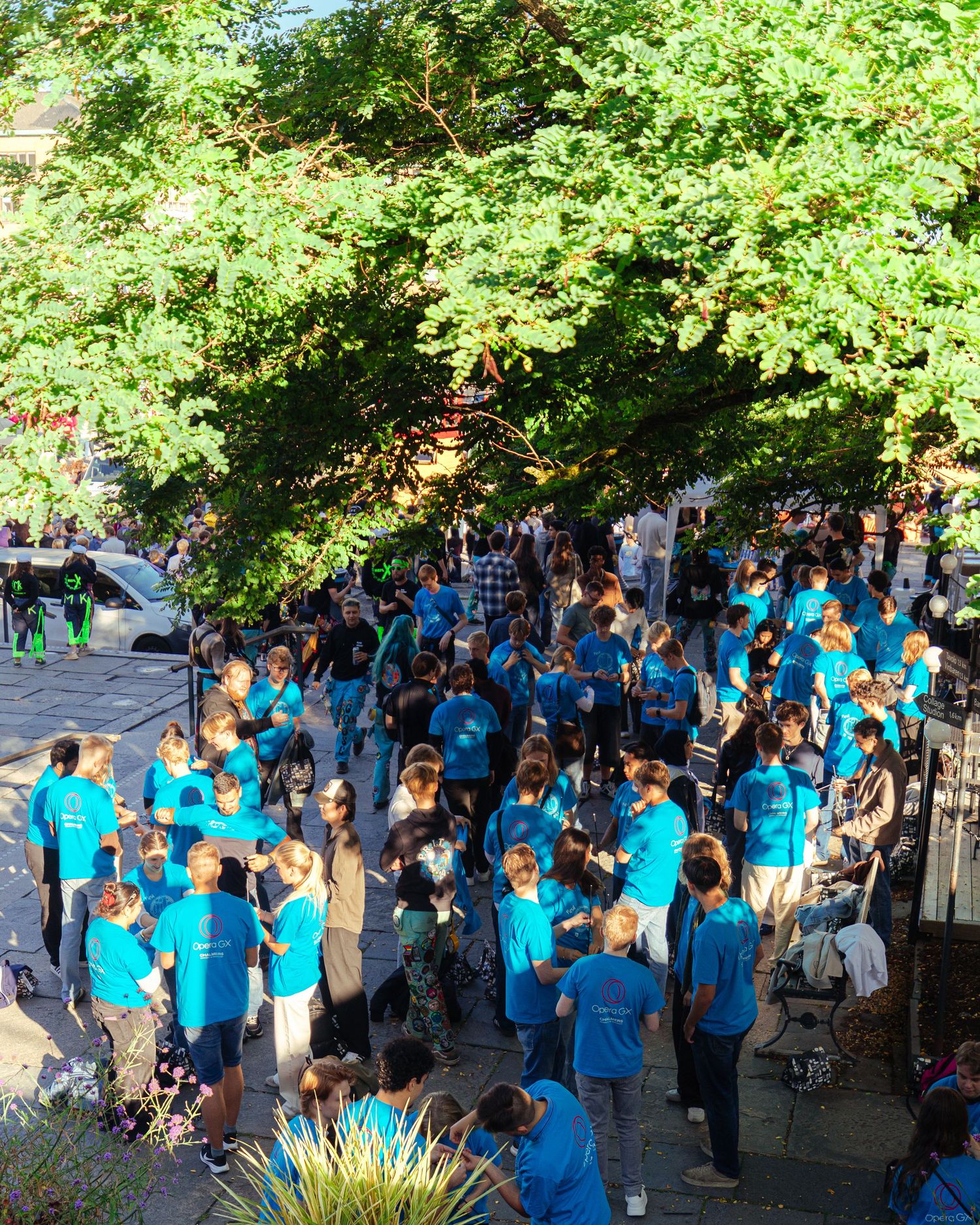 Large group of volunteers in blue t-shirts gathered under trees at outdoor event.