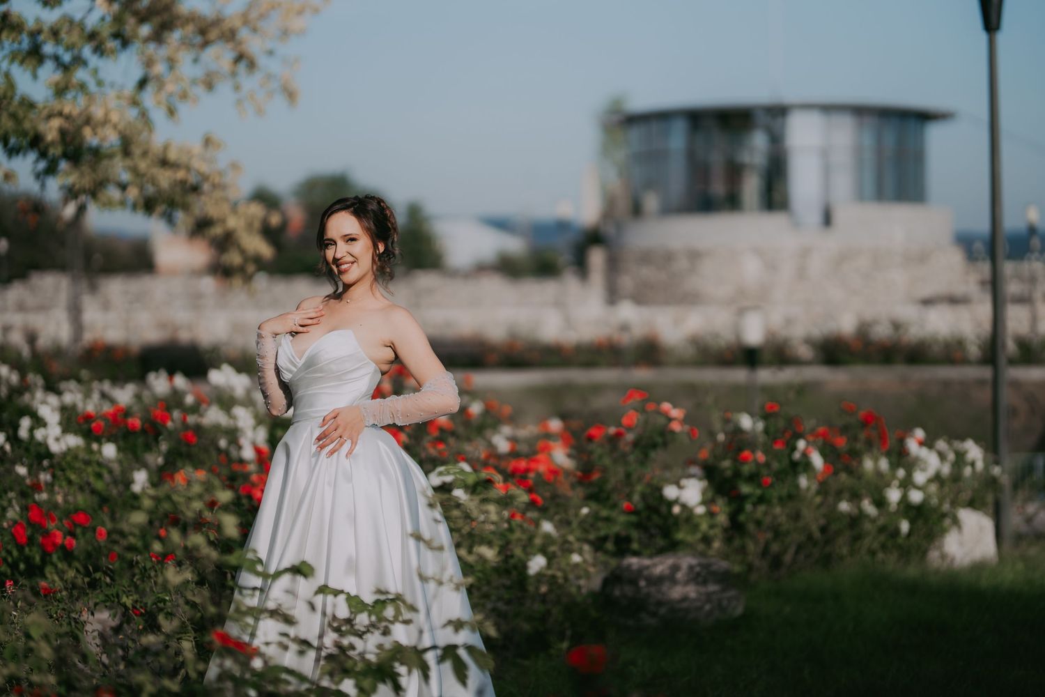 Elegant bride in strapless white ball gown posing among red roses in a garden on her wedding day. Epicu Fotograf Drobeta-Turnu Severin