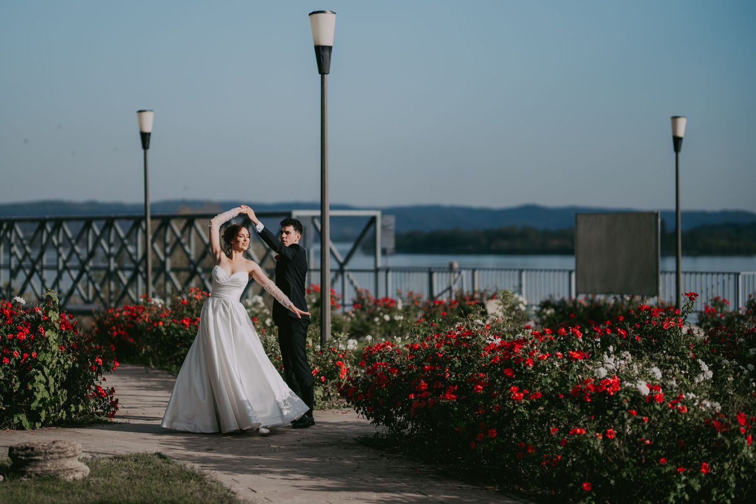 Bride and groom walking through a rose garden near a river on their wedding day. Epicu Fotograf Drobeta-Turnu Severin