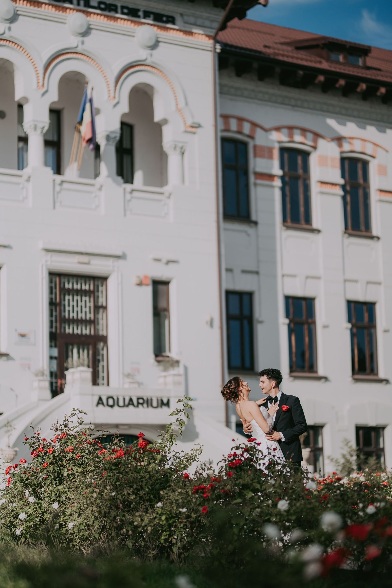 Wedding couple embracing in rose garden outside historic white aquarium building on sunny day.