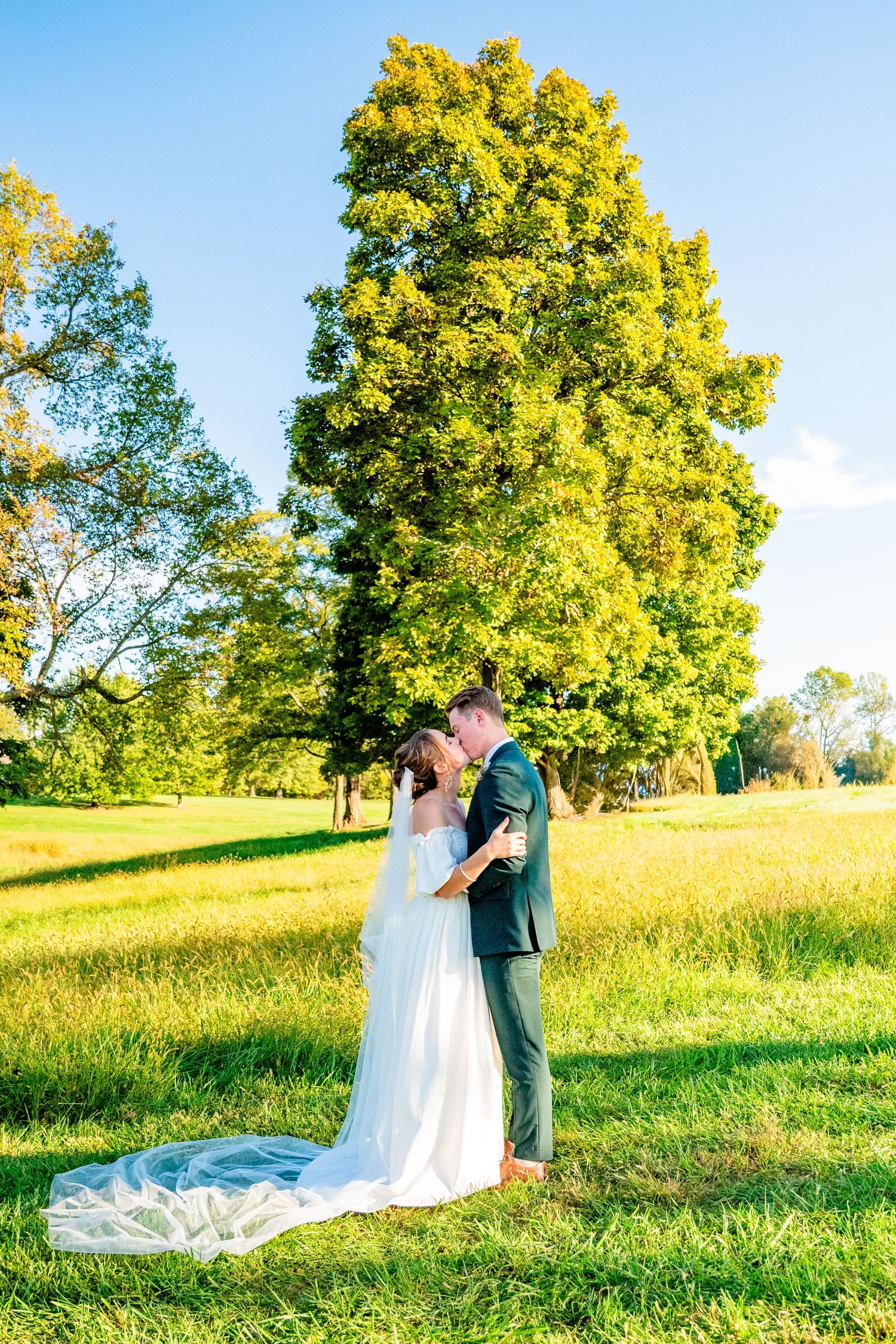 A bride and groom embrace in a sunlit green meadow with a large tree in the background.