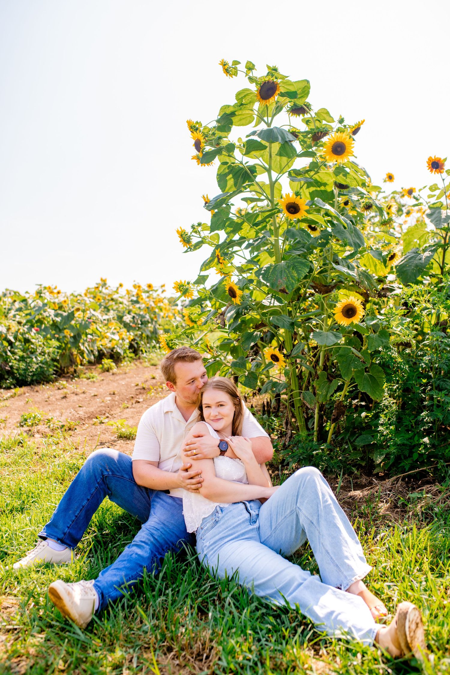 Couple sitting together in a sunflower field on a sunny day, man embracing woman from behind on green grass.