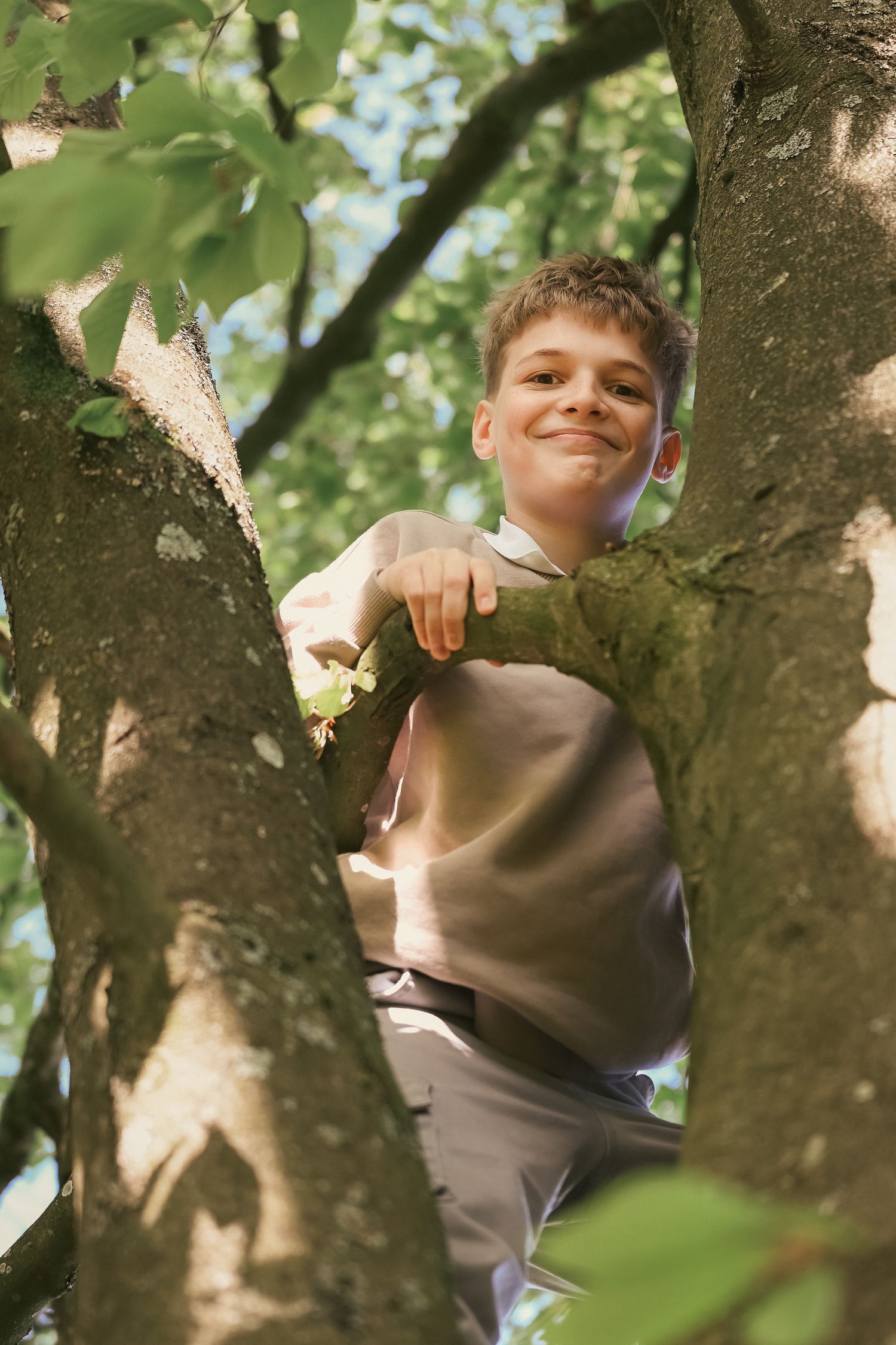 Child climbing tree looking back down