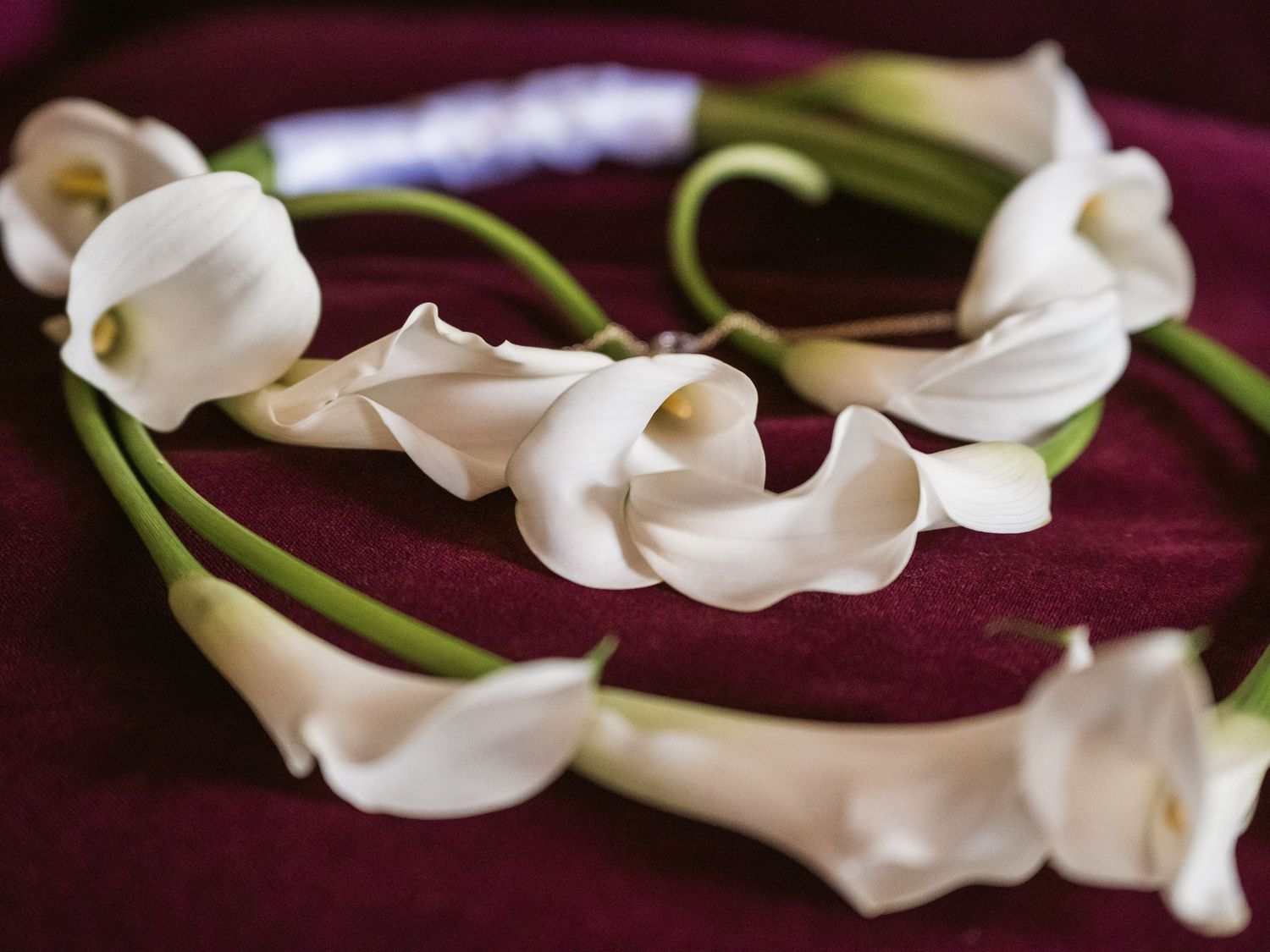 Horseshoe bouquet of calla lillies