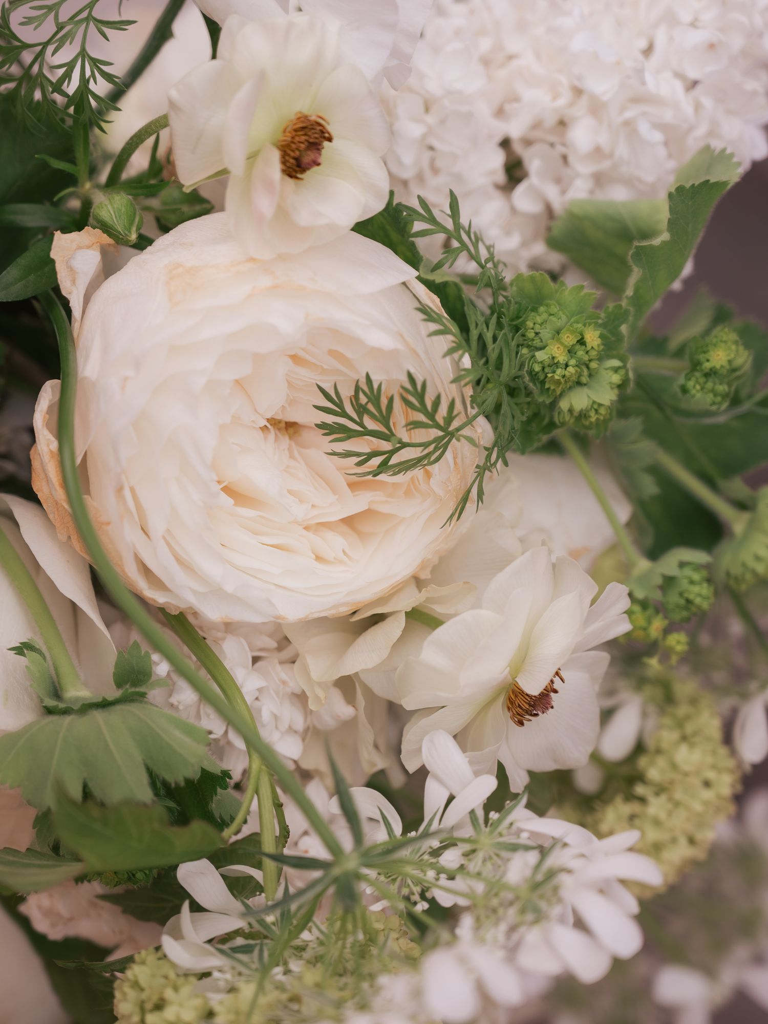 bouquet of white roses
