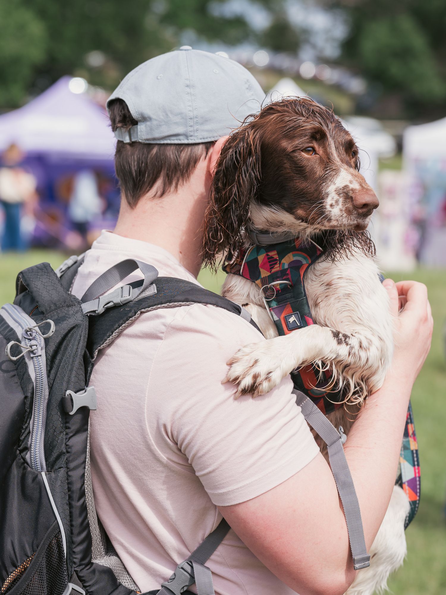 Spaniel and man hugging at Dogstival