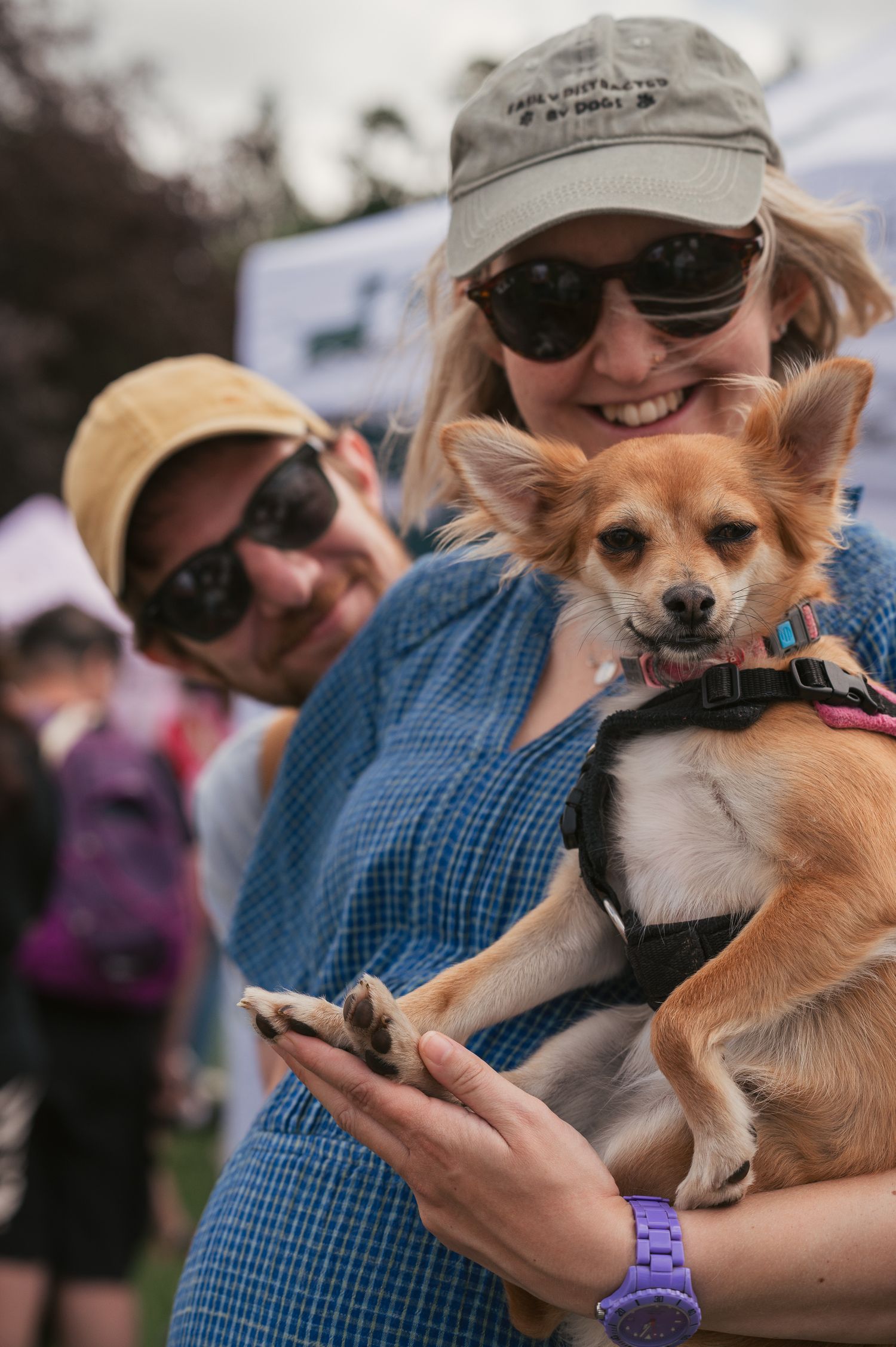 Family photo featuring chihuahua