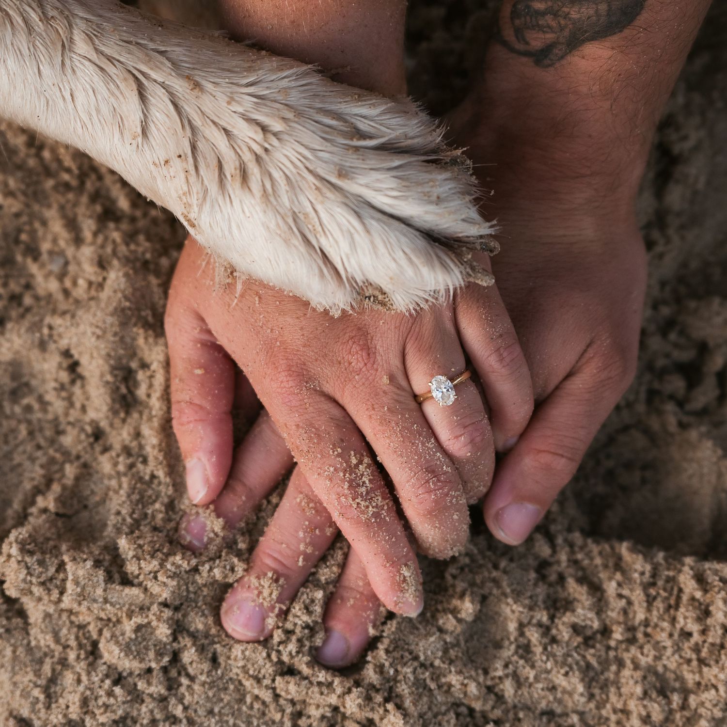 Engaged couple with their dog, holding hands