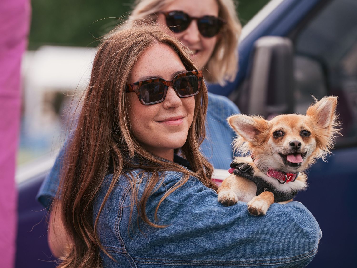 Woman holding chihuahua at Dogstival