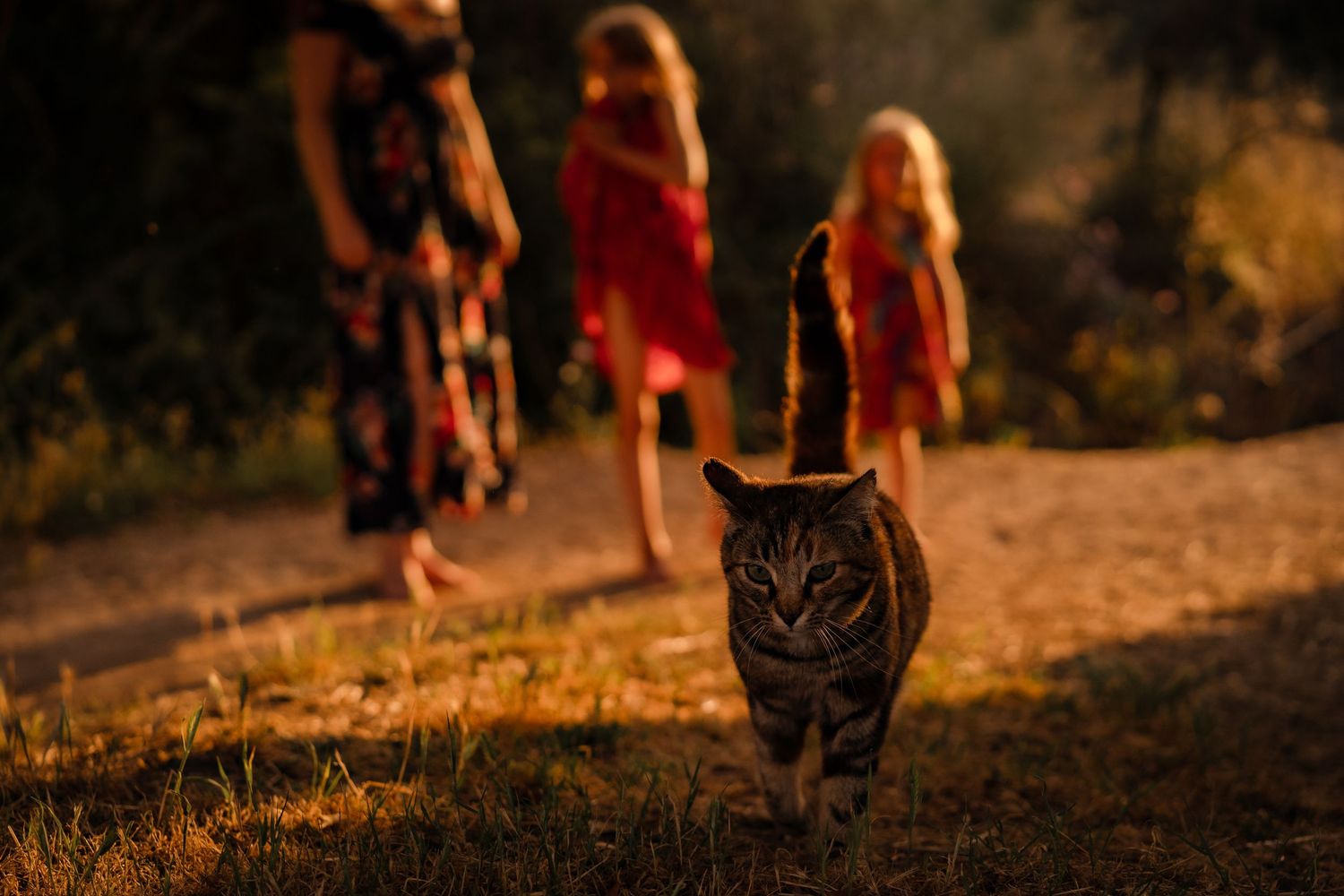 Familiefotoshooting