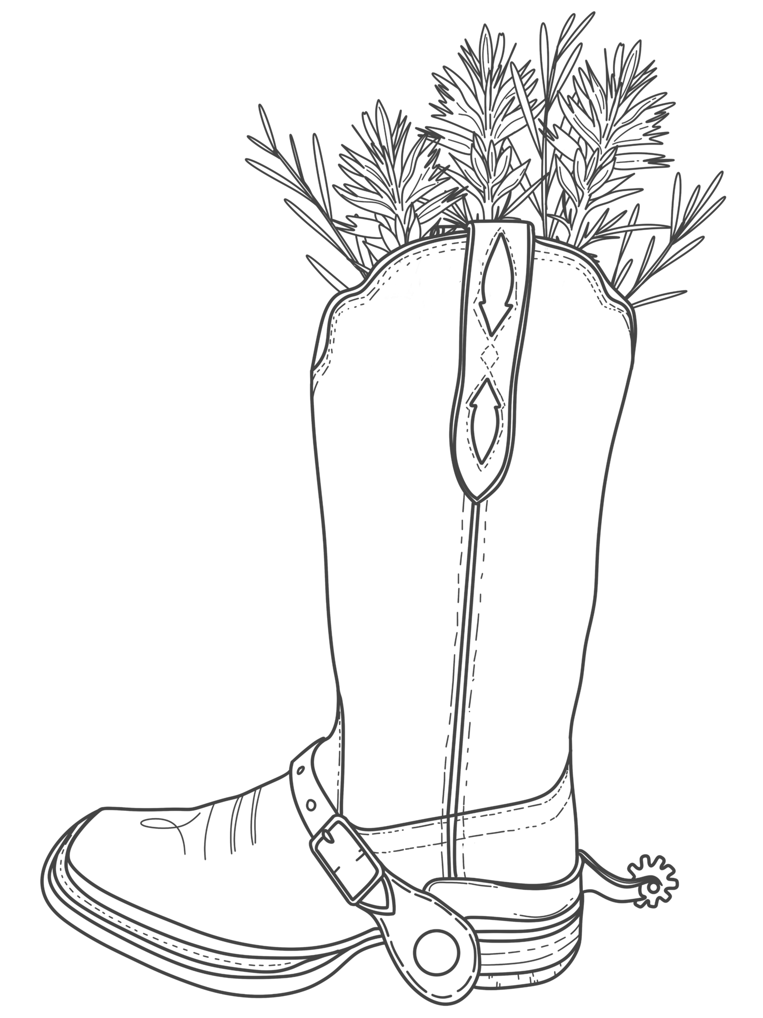 Taylor Jaycee Photography branded logo, Cowboy boot illustration with flowers, rustic Western branding for Eastern Oregon photographer