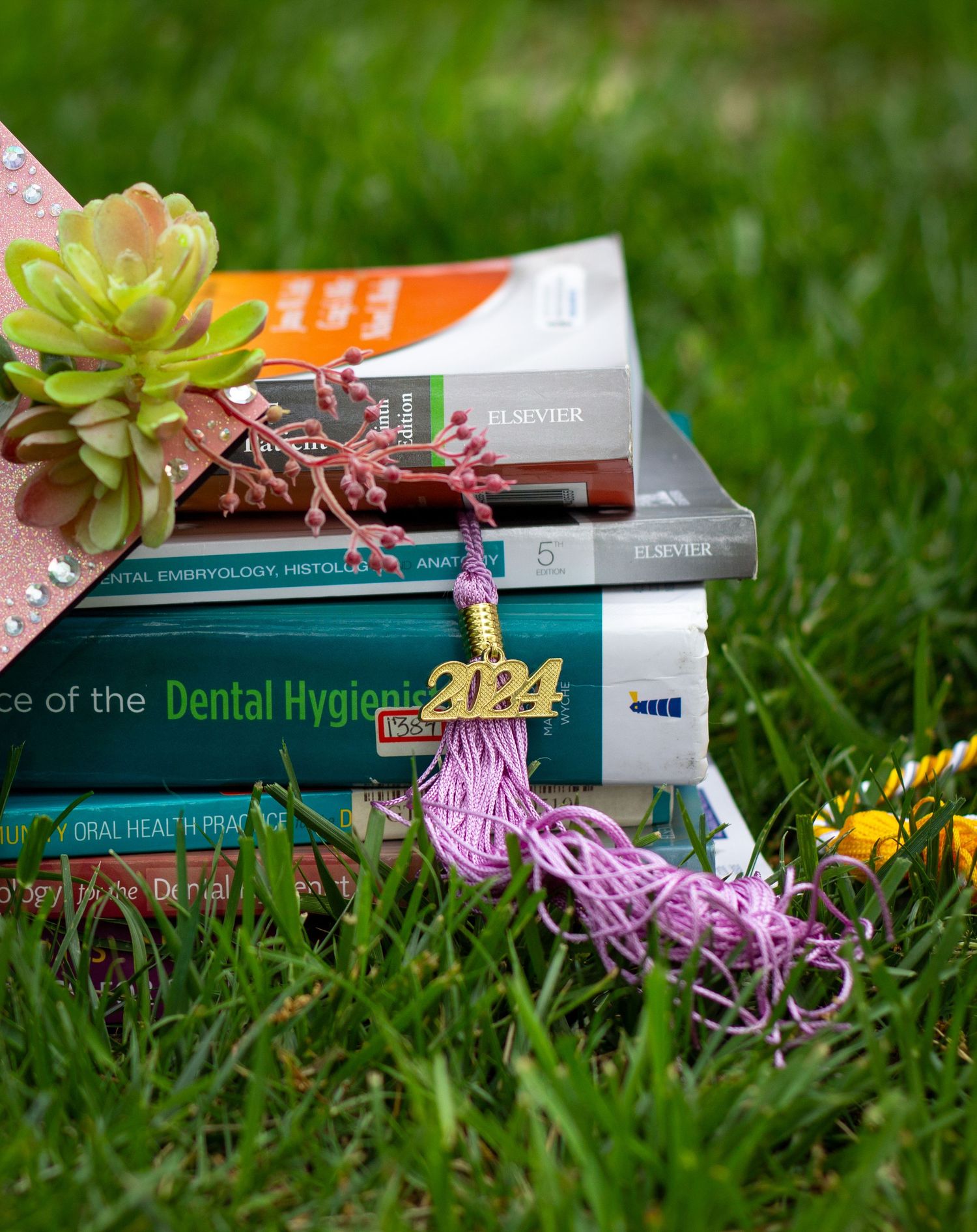 Stack of school books for dental hygiene with a 2024 tassel.