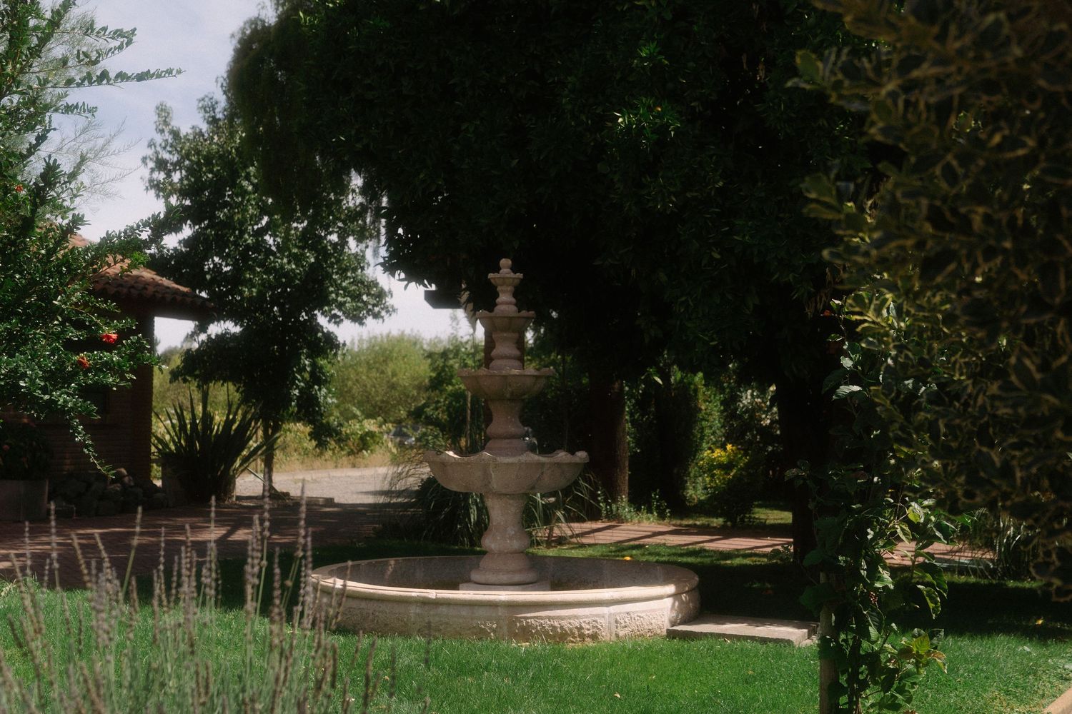 A decorative stone tiered fountain surrounded by lush green trees and manicured lawn in a serene garden setting.