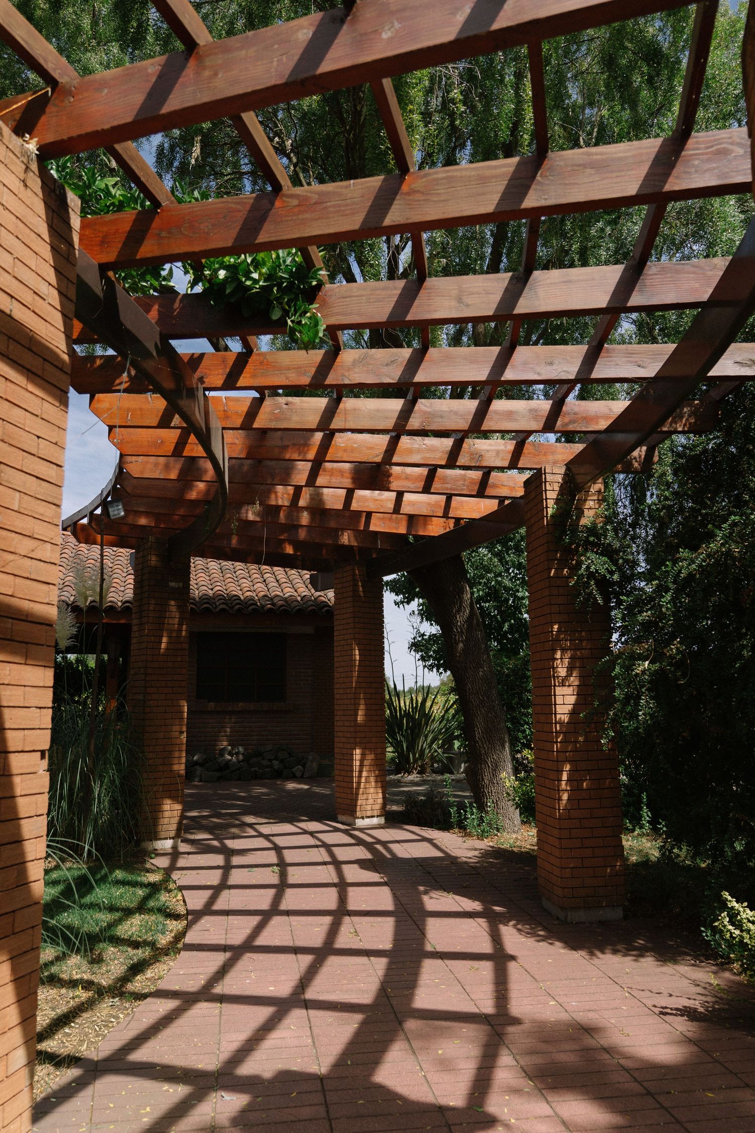 Wooden pergola with lattice roof casting geometric shadows on brick patio pathway surrounded by lush green trees.