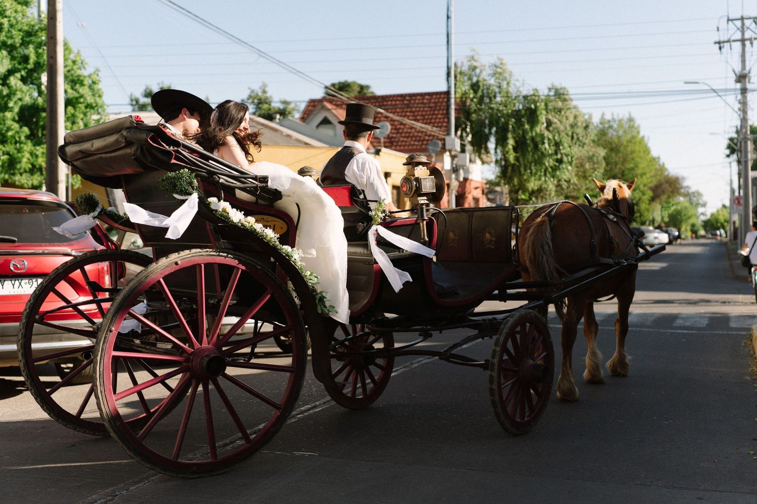 Horse-drawn carriage transports wedding party down a tree-lined street.