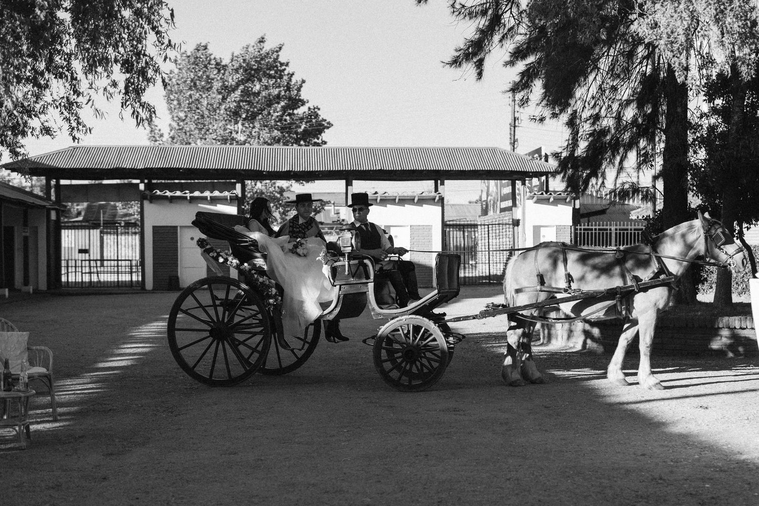 Black and white photo of a horse-drawn carriage at a vintage-style wedding venue.
