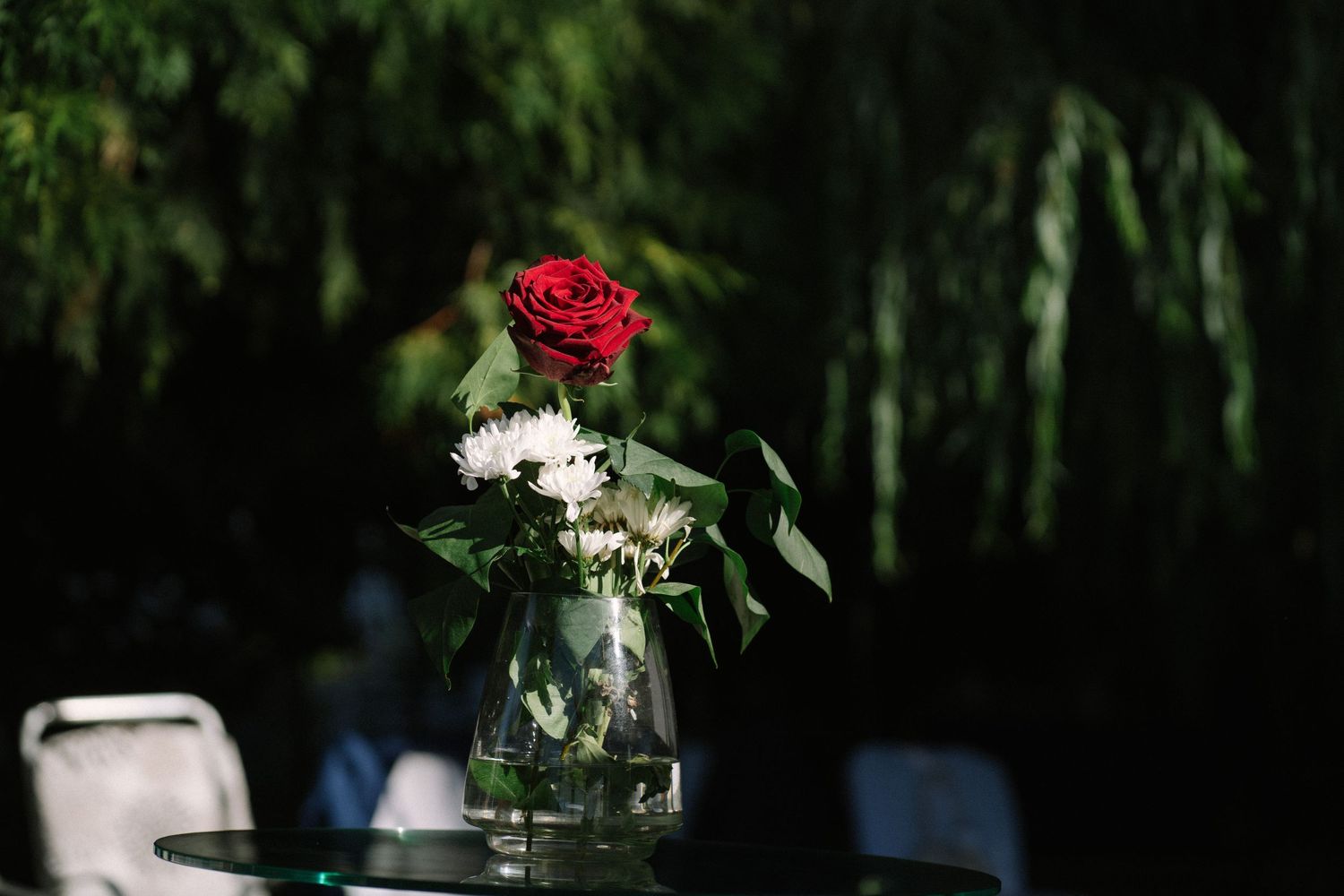 Red rose and white flowers in glass vase against dark green foliage background.