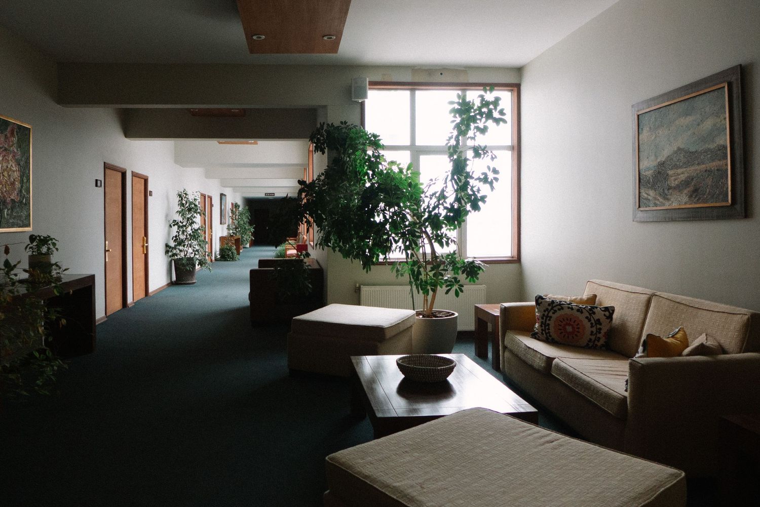 A modern living room interior with panoramic windows, potted plants, and natural light illuminating the minimalist space.