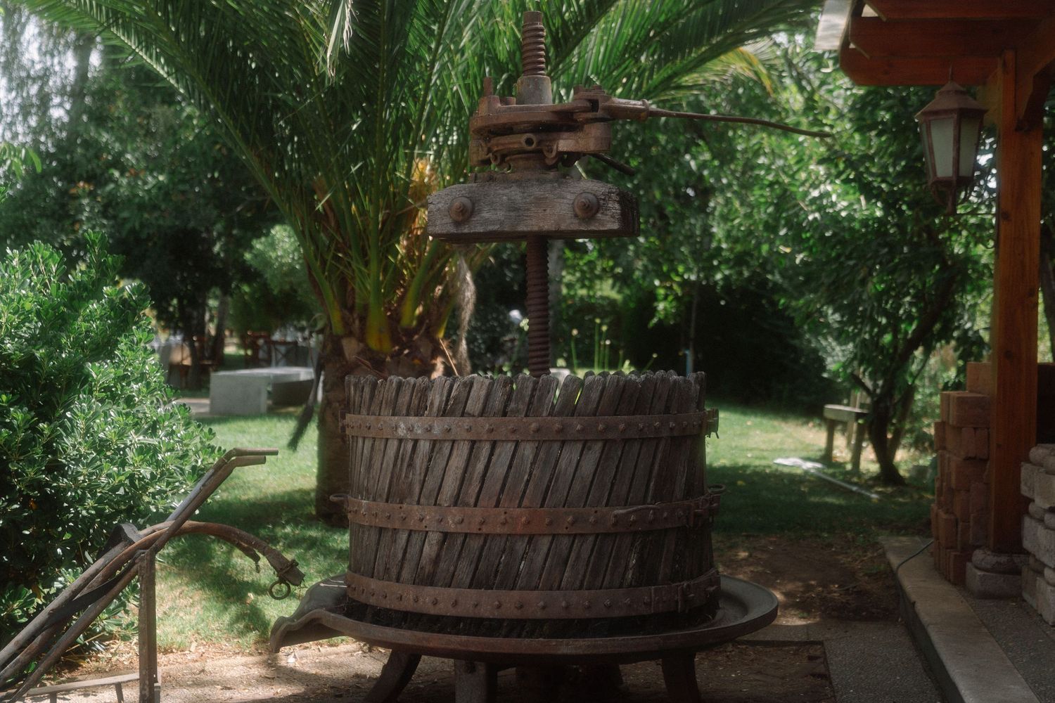 Rustic wooden wine press displayed in a lush garden setting with palm trees and green lawn.