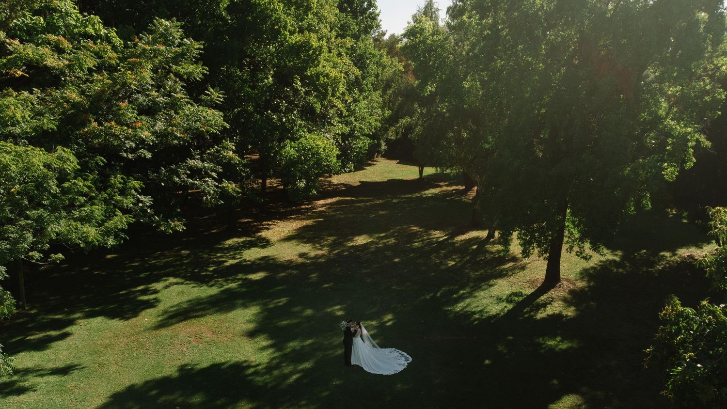 An aerial view of a wedding couple surrounded by lush green trees in a park setting.