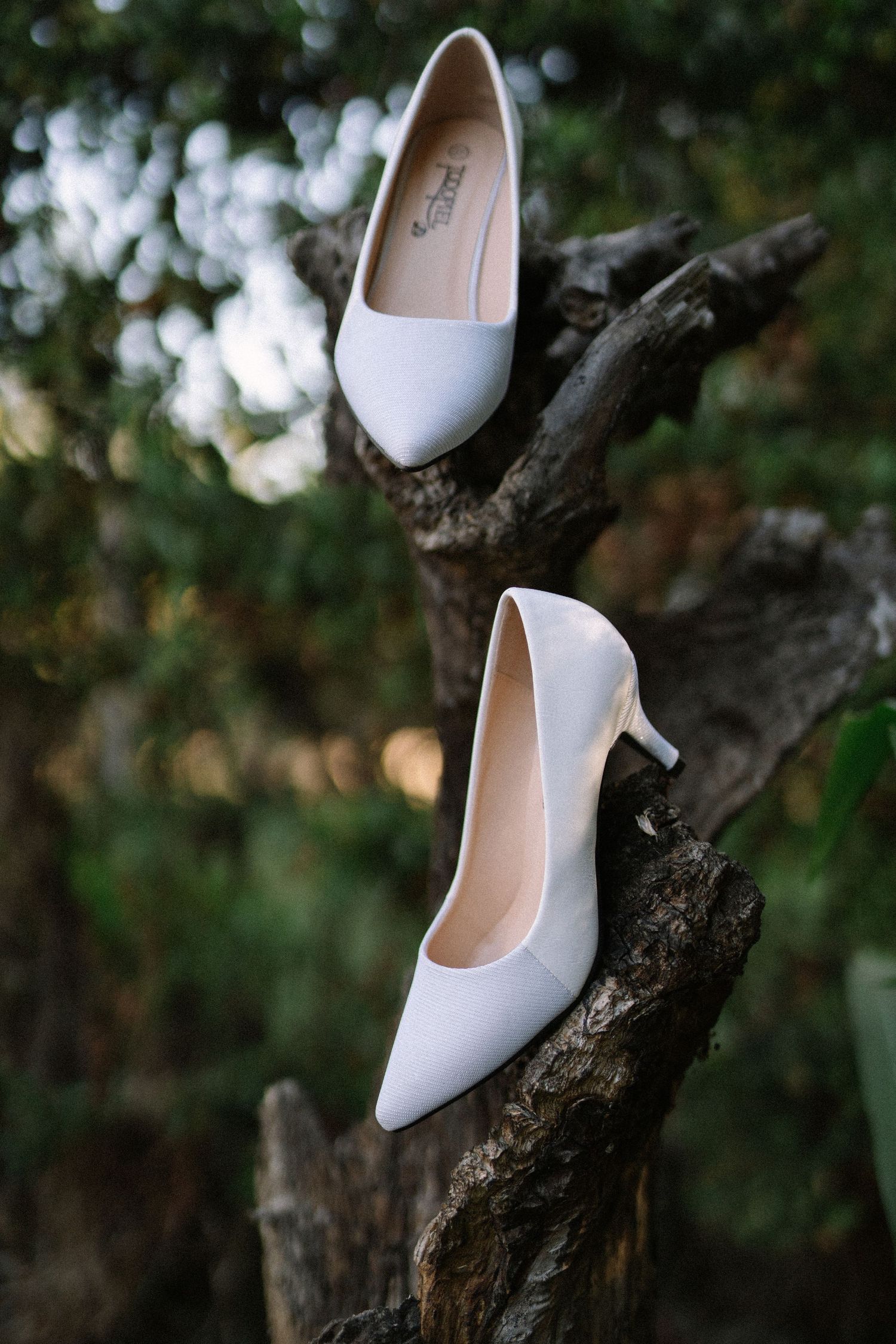 White bridal heels artistically placed on a rustic tree branch with bokeh background.