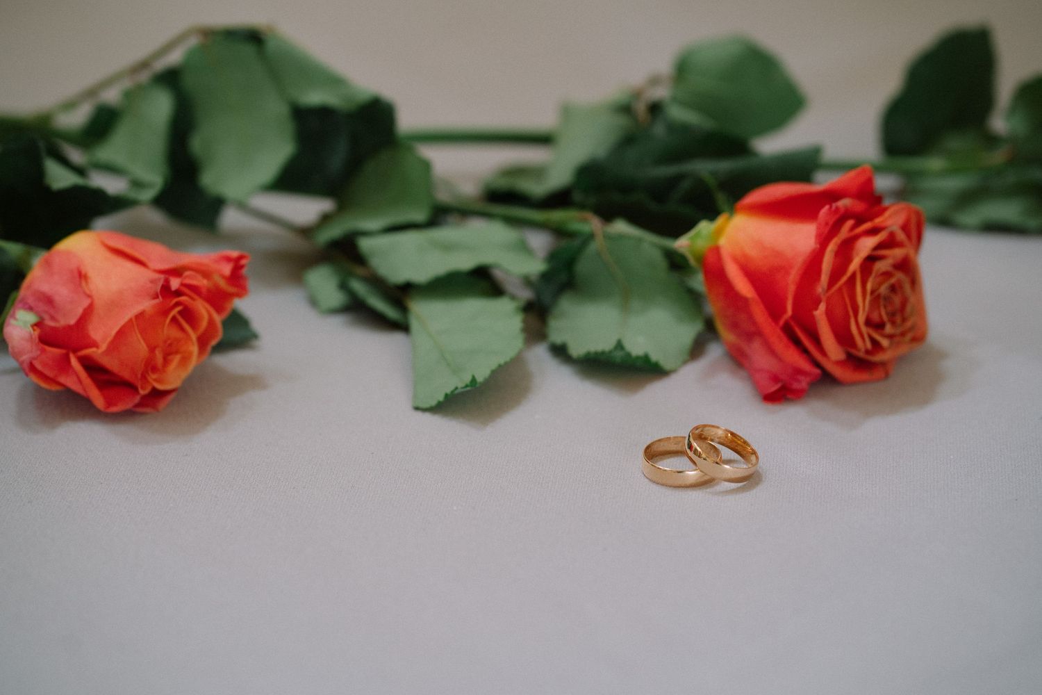 Two orange roses with green stems and leaves next to golden wedding rings on white surface.