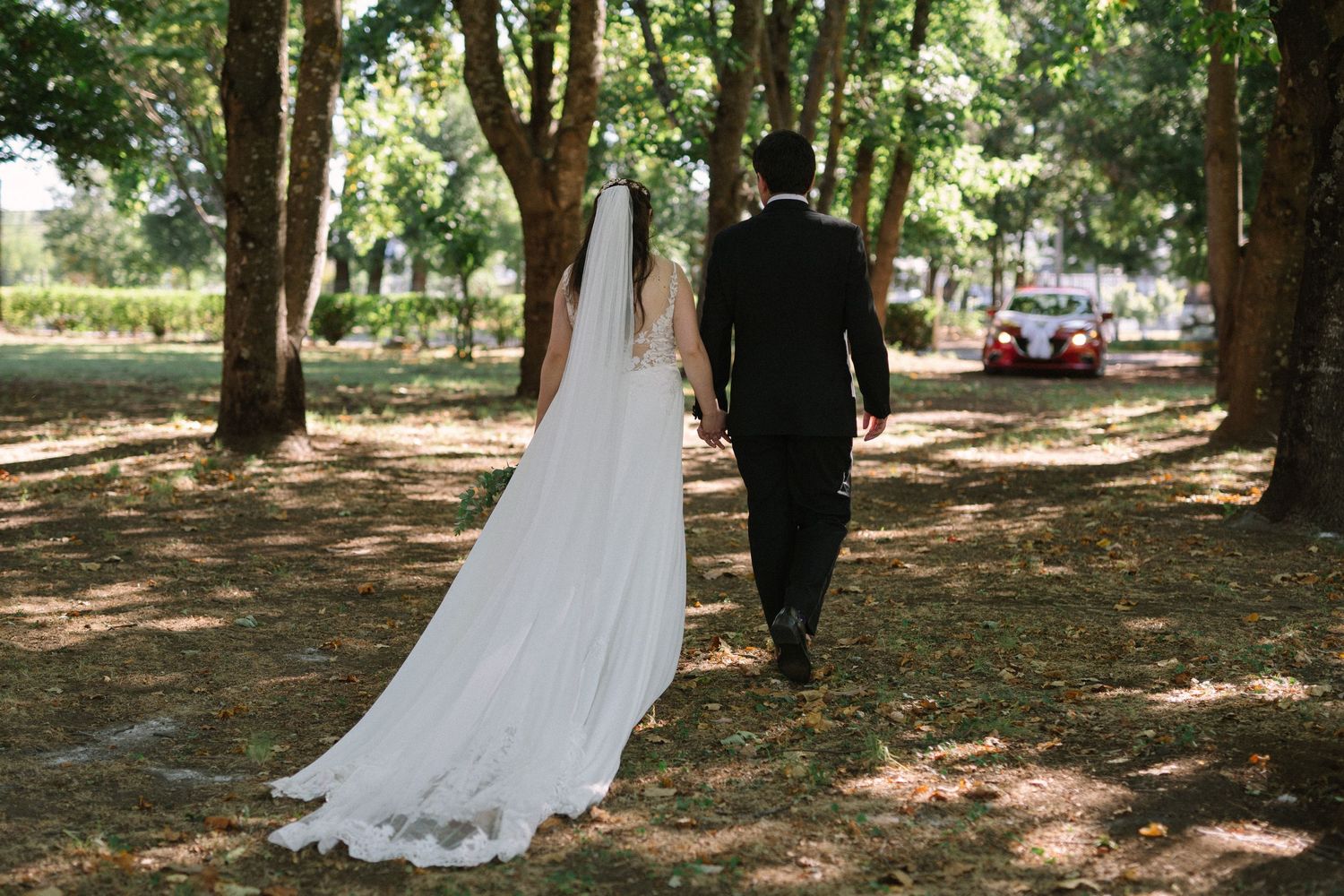 A wedding couple walks hand in hand down a tree-lined path, the bride's veil trailing behind.