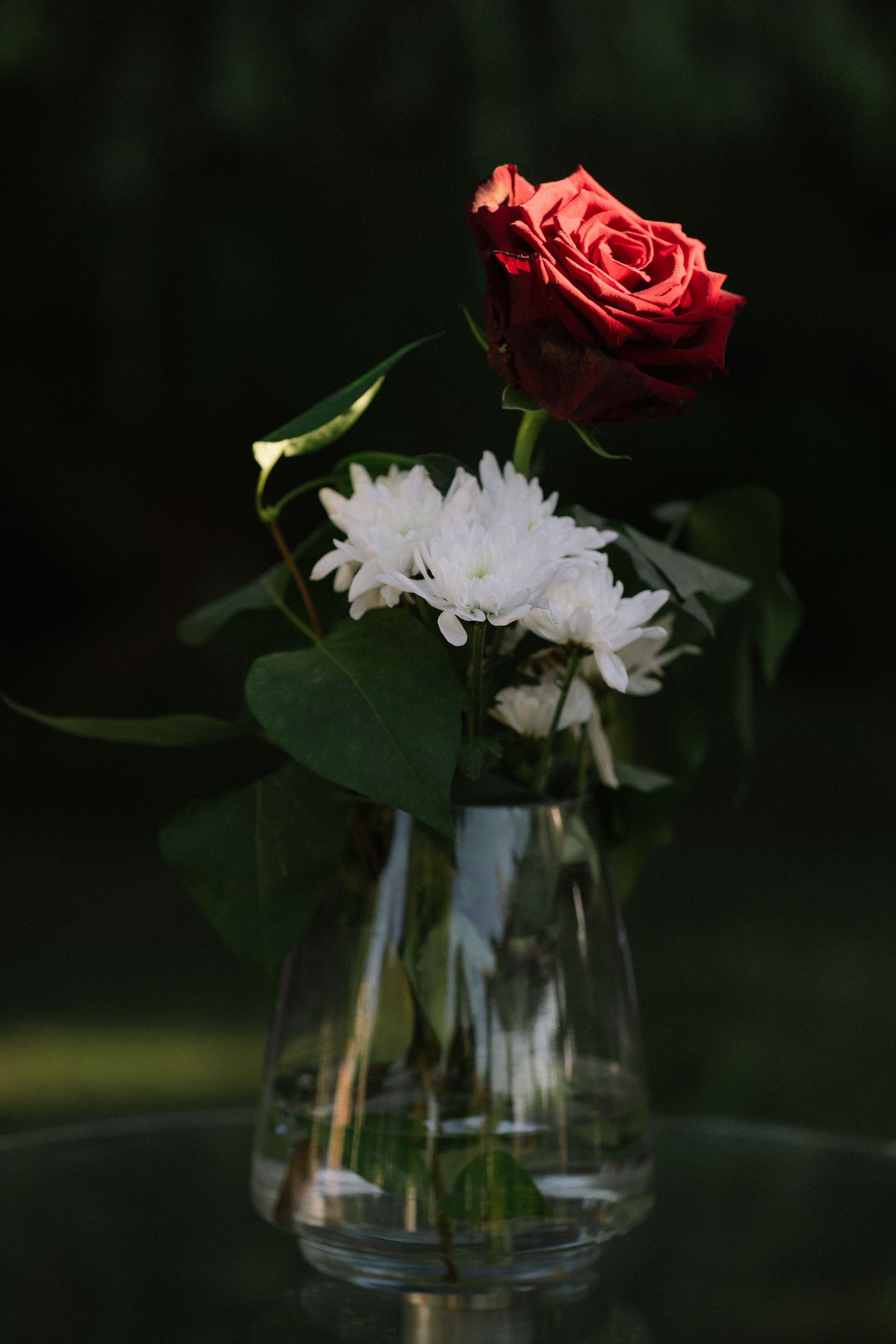 A red rose and white chrysanthemum arranged in a clear glass vase against a dark background.