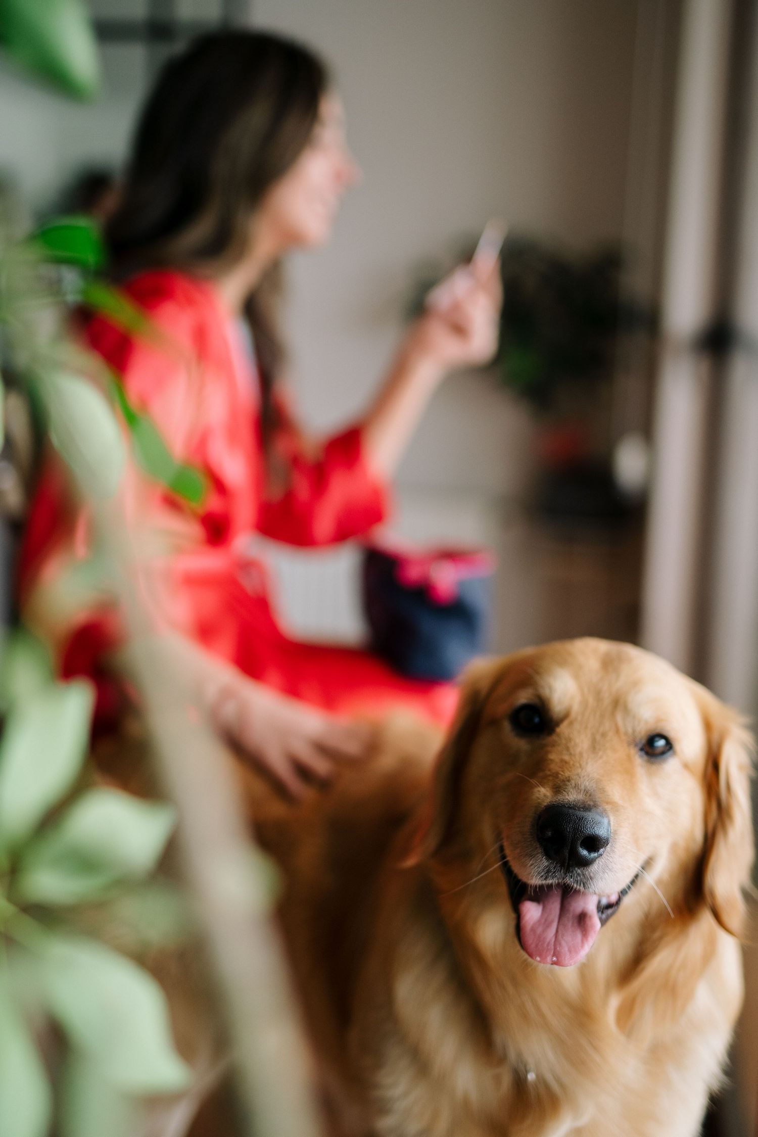 A happy Golden Retriever smiles at the camera while someone in red sits nearby.