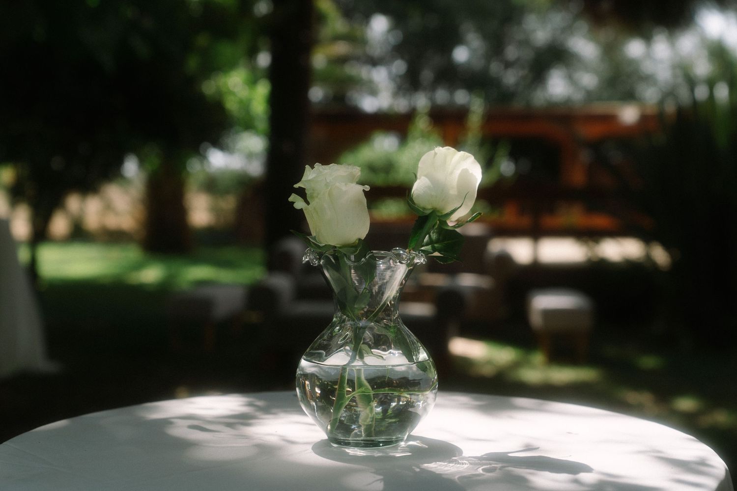 Two white roses in a crystal vase on a white table in a sunlit garden setting.