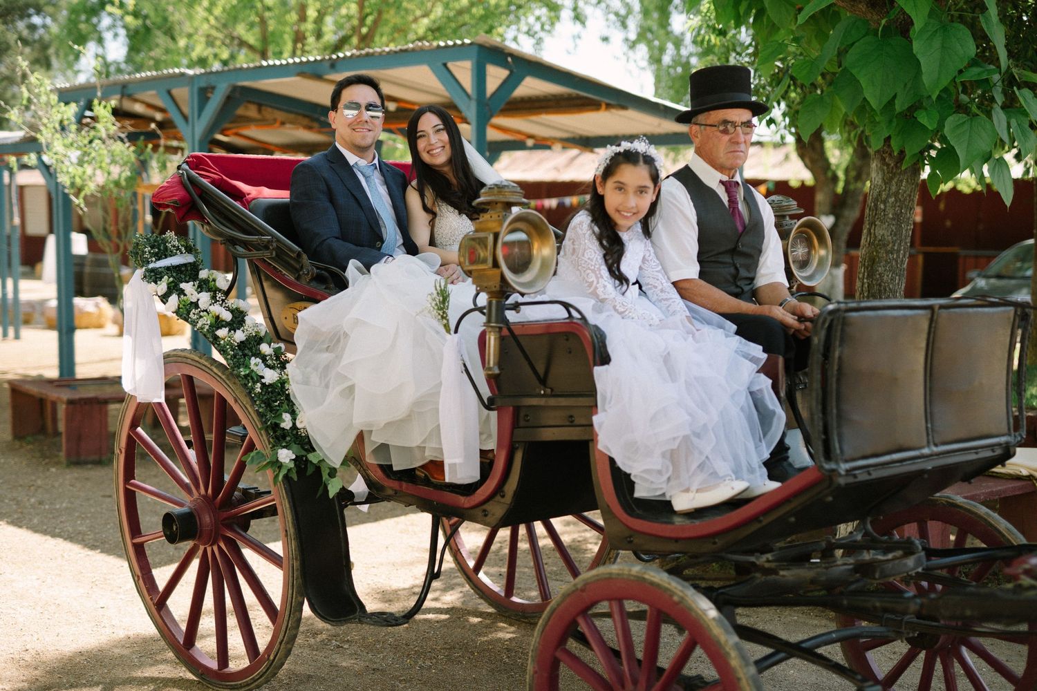 A vintage horse-drawn carriage carries wedding party members in formal attire through a tree-lined path.