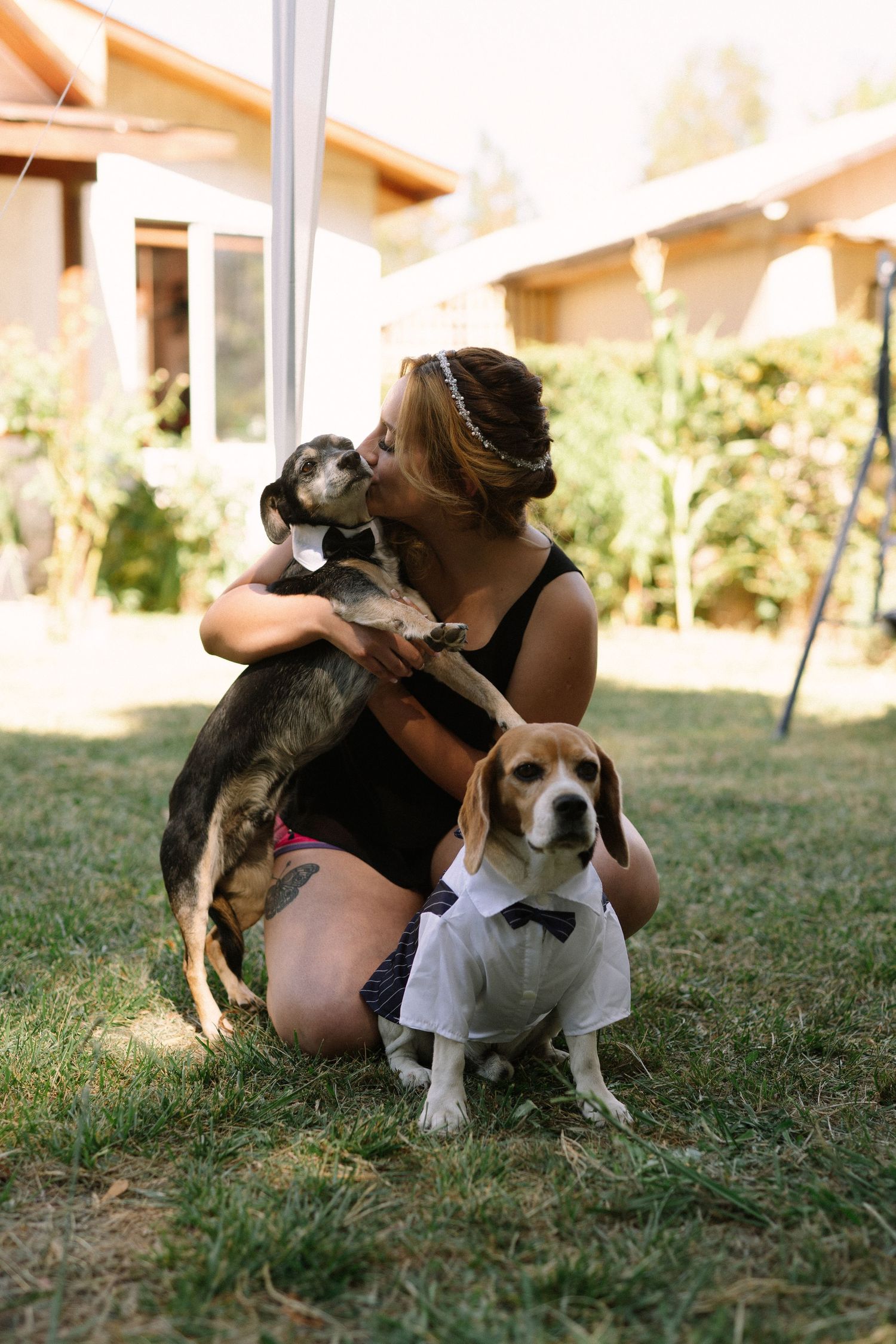 Two beagles in formal attire pose with someone in a sunny backyard setting.