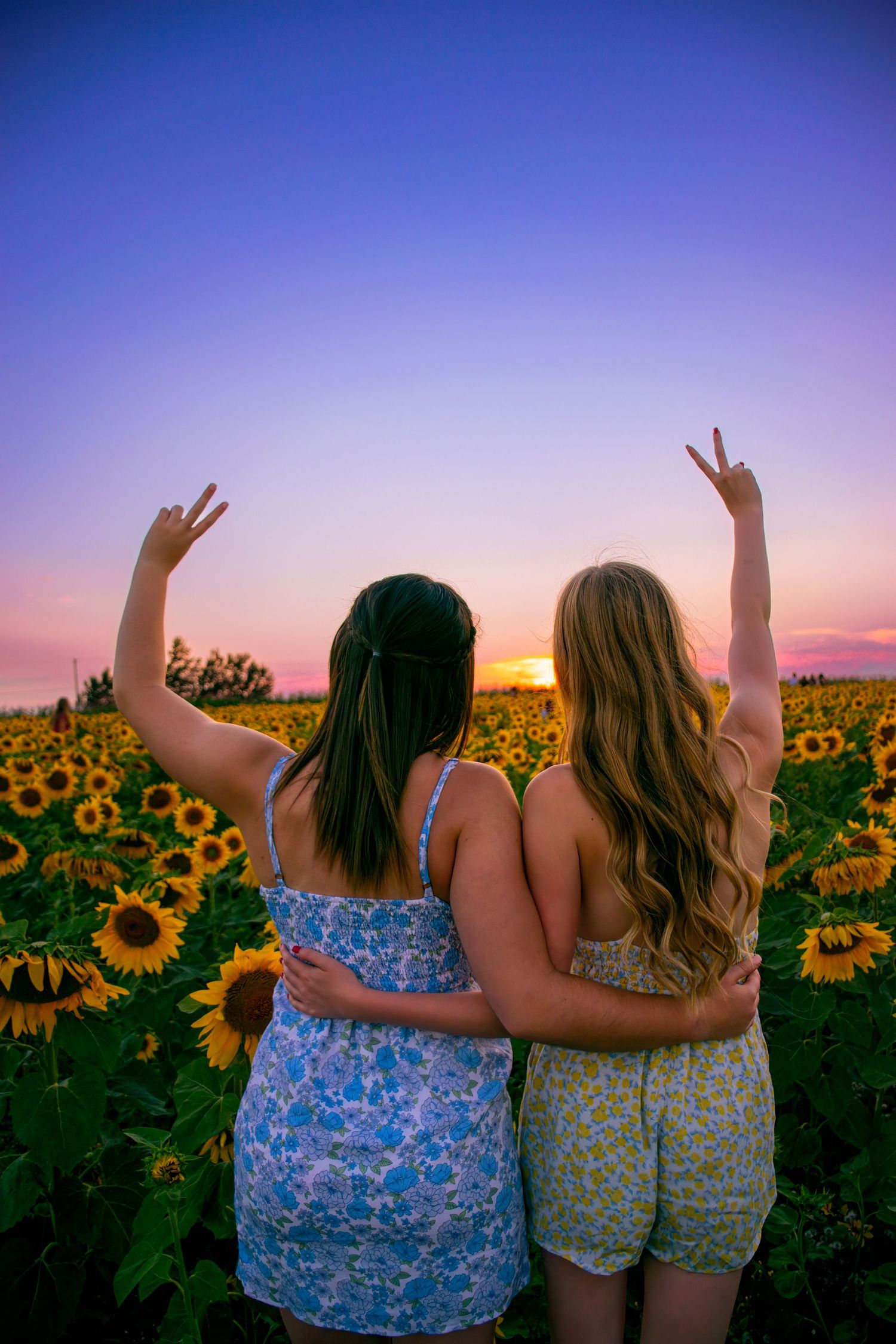 Two friends embrace while watching sunset in a blooming sunflower field.