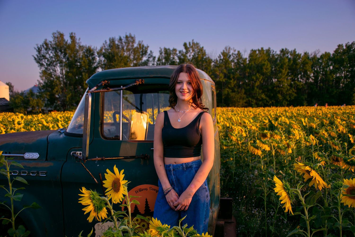 A vintage green truck parked in a vibrant sunflower field at sunset creates a dreamy summer scene.