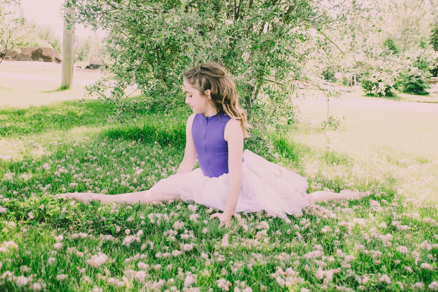 Person in purple leotard and pink tutu sitting in a field of flowers.