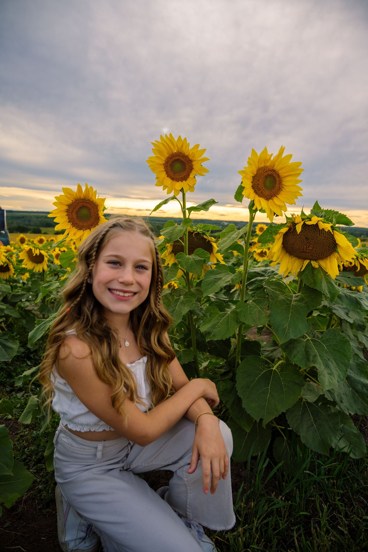 A bright summer scene featuring tall sunflowers against a cloudy sky.