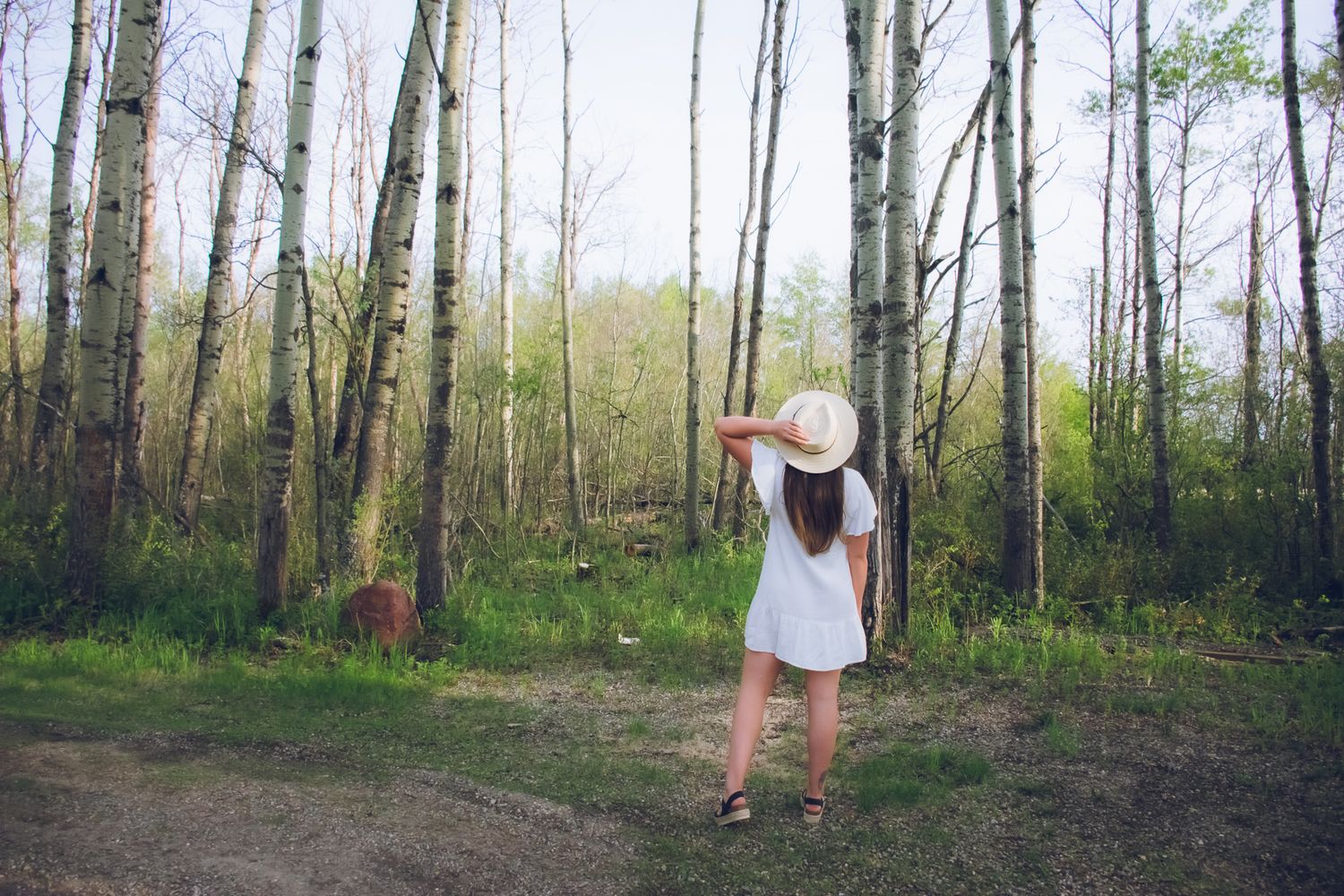 A figure in a white dress and sunhat explores a peaceful forest path surrounded by tall spring trees.