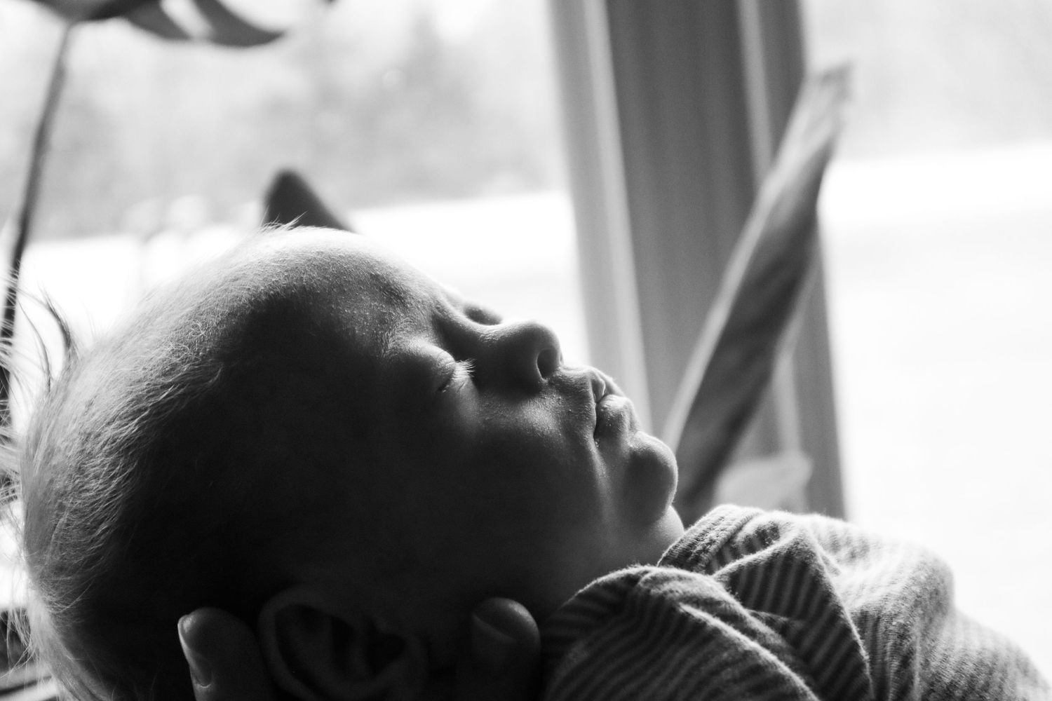 newborn baby boy