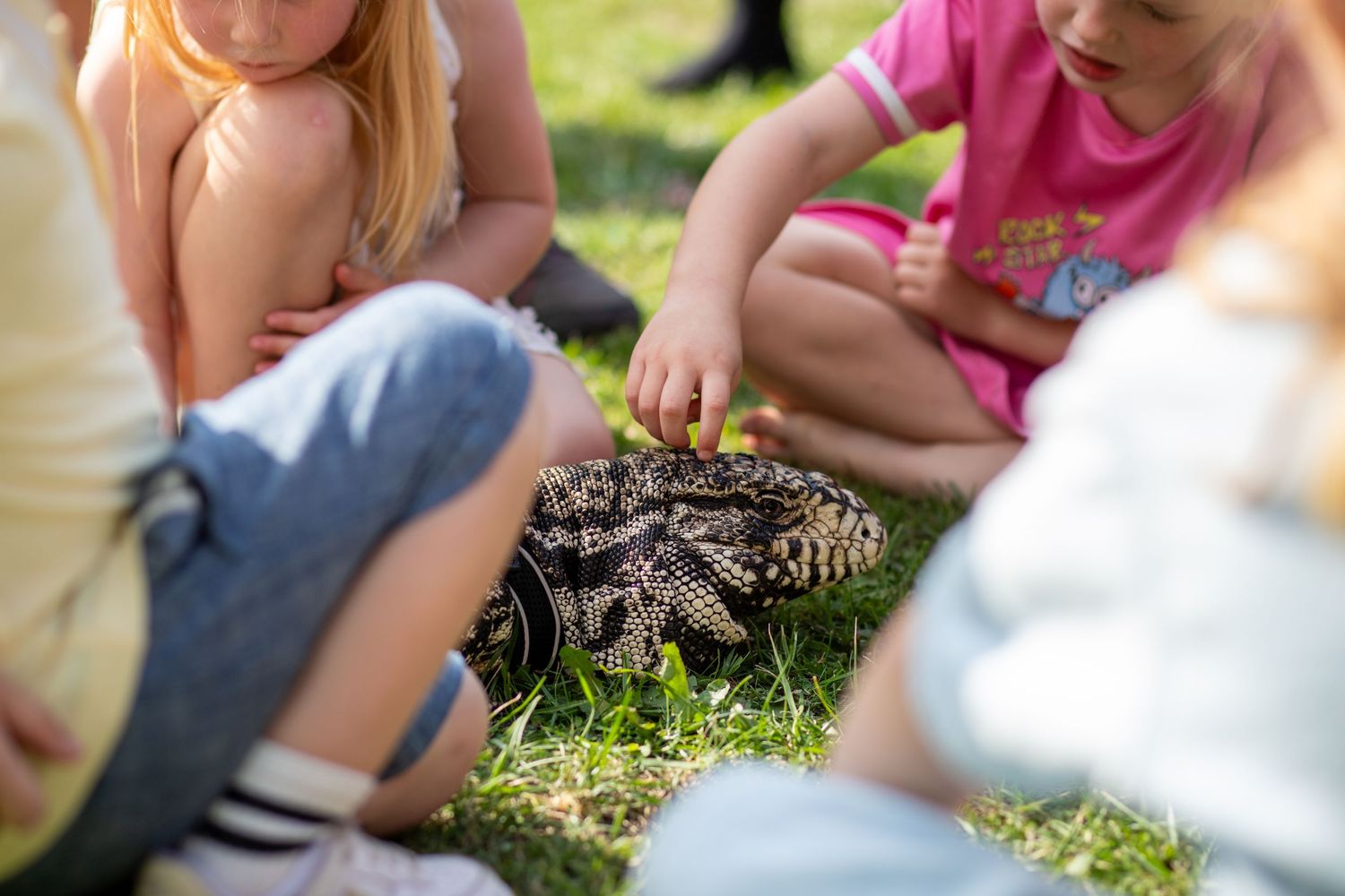 Children playing with a lizard at a public event