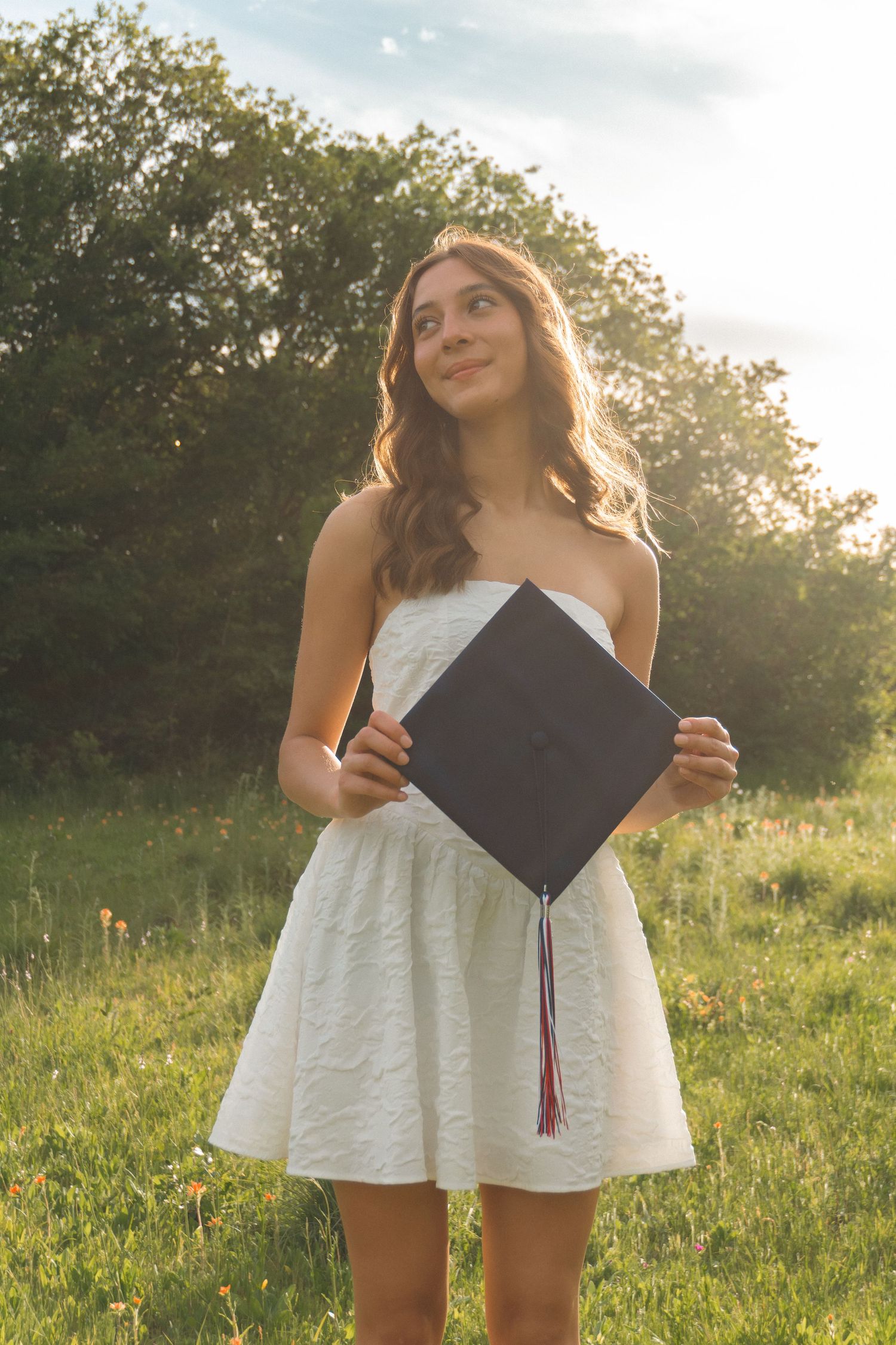 Graduate in white dress holds diploma in sunny meadow during golden hour photoshoot series.