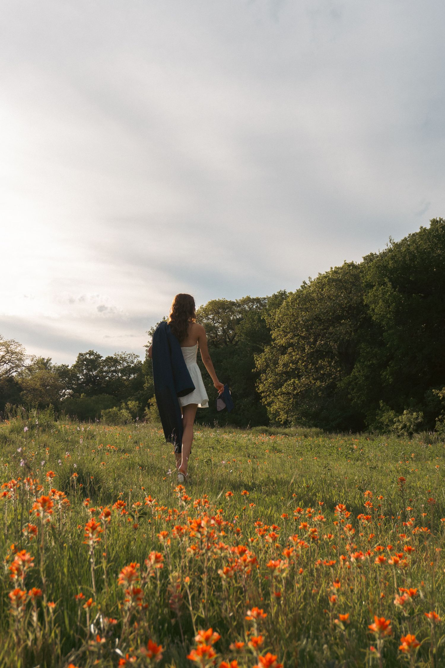 A person walks through a vibrant meadow filled with orange wildflowers at sunset with trees in the background.