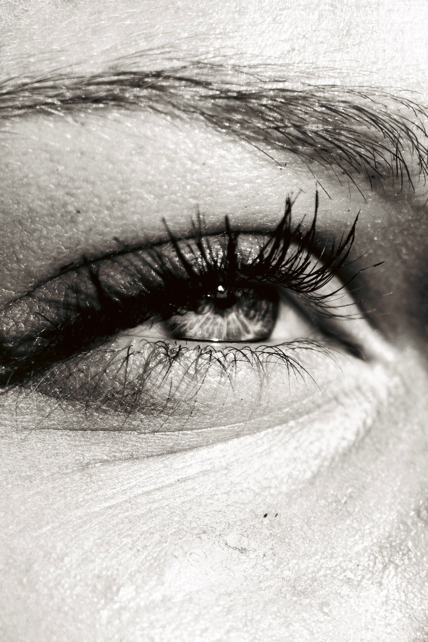 Extreme black and white macro close-up of a womans eye with long lashes and defined brow.