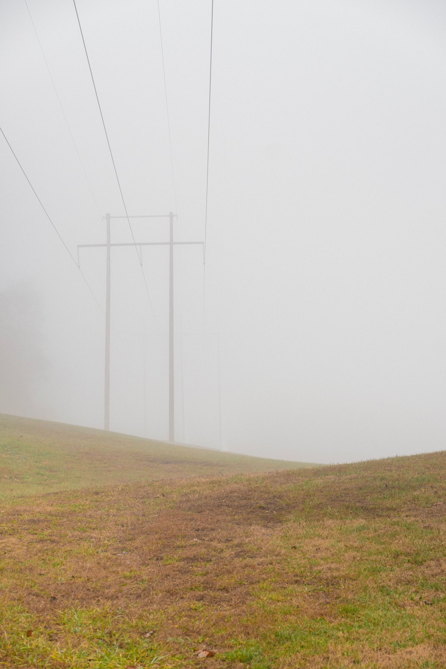 A lone electricity pole with power lines disappearing into thick white fog over a grassy hill.