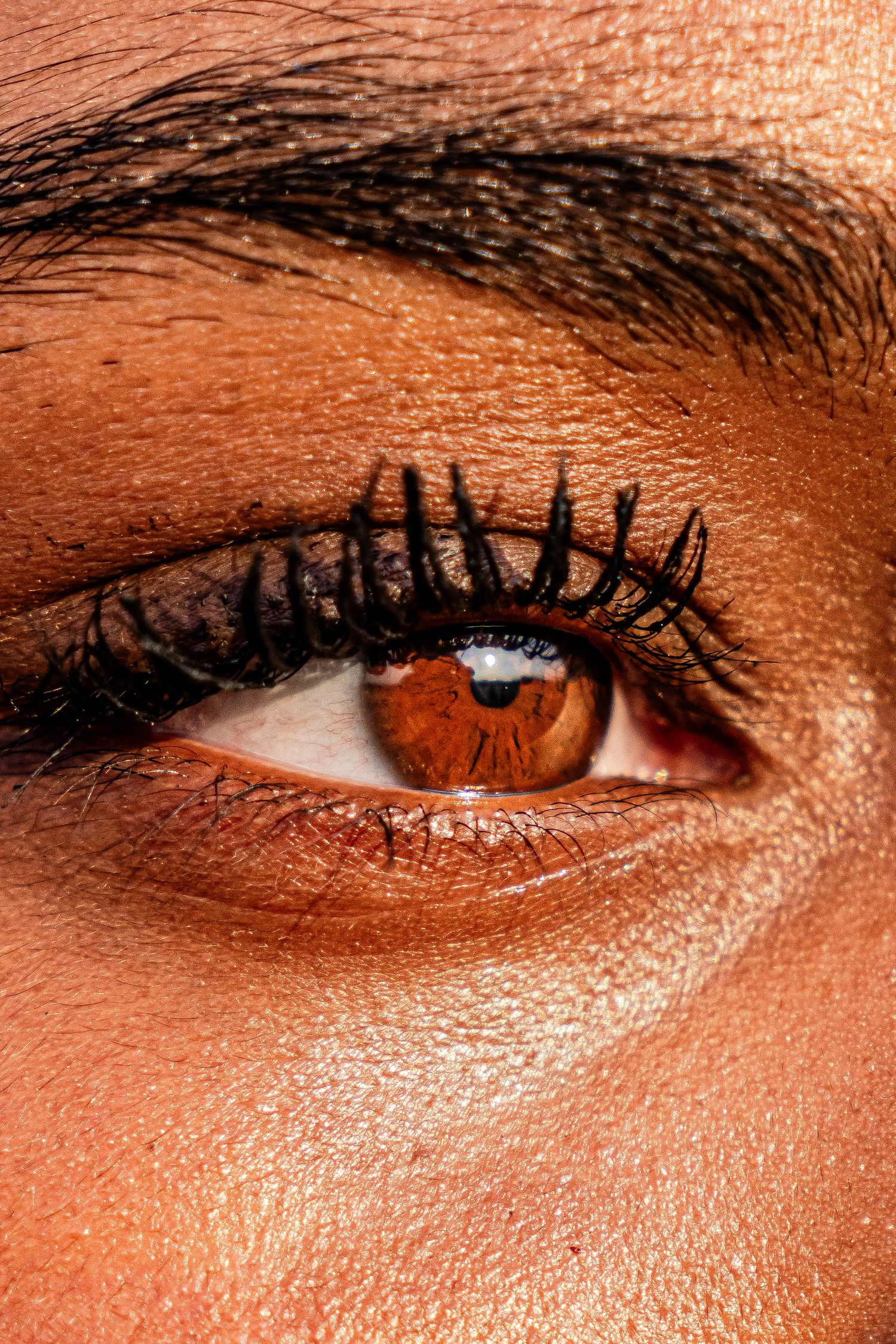 Extreme close-up macro shot of a brown human eye with long dark lashes.